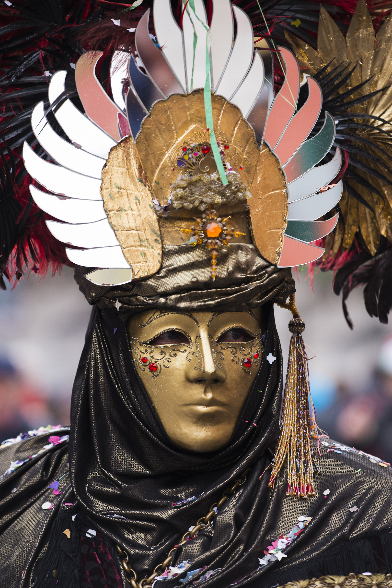 Carnival in Verona