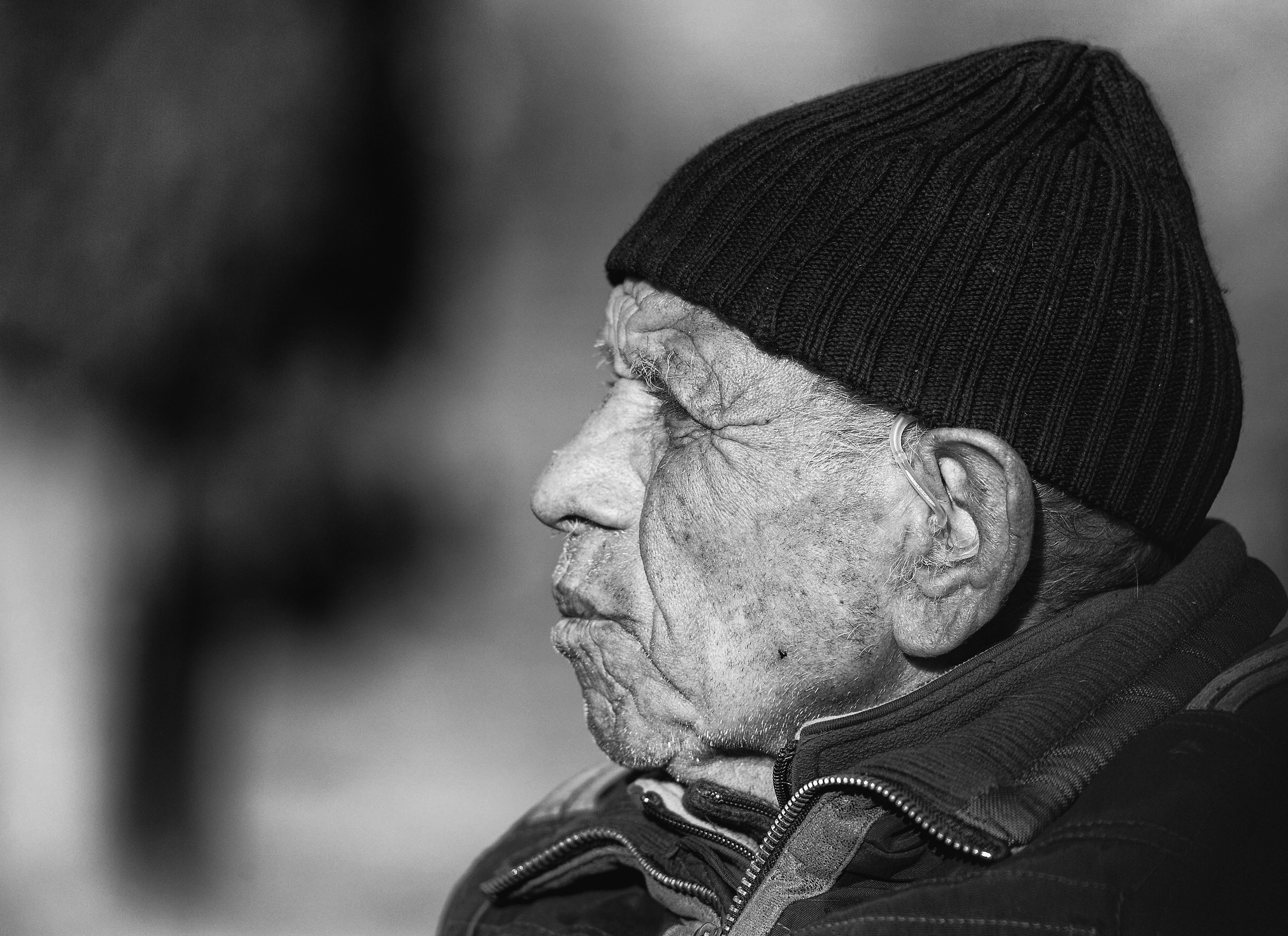 Roma-Anselmo, vetturino al Colosseo
