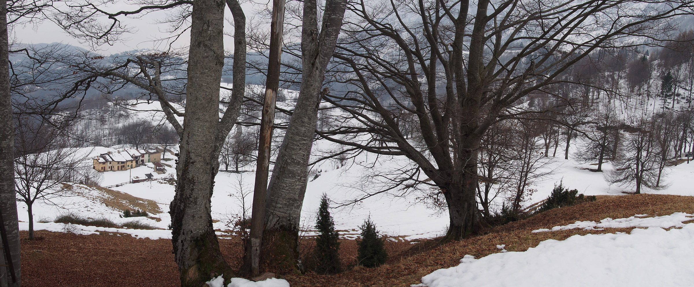 Ciaspolada to Montagnole