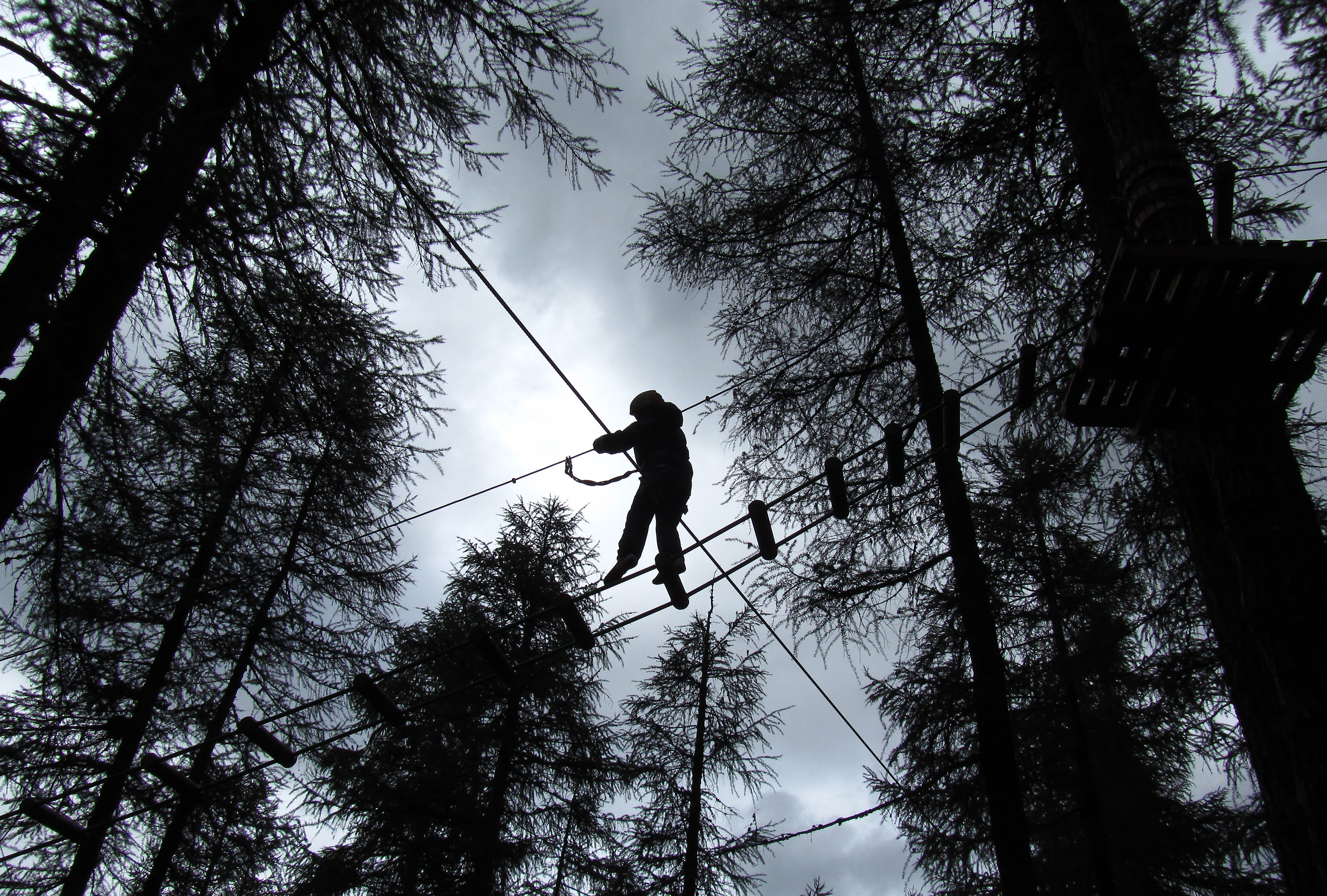 Everyone likes a defensive