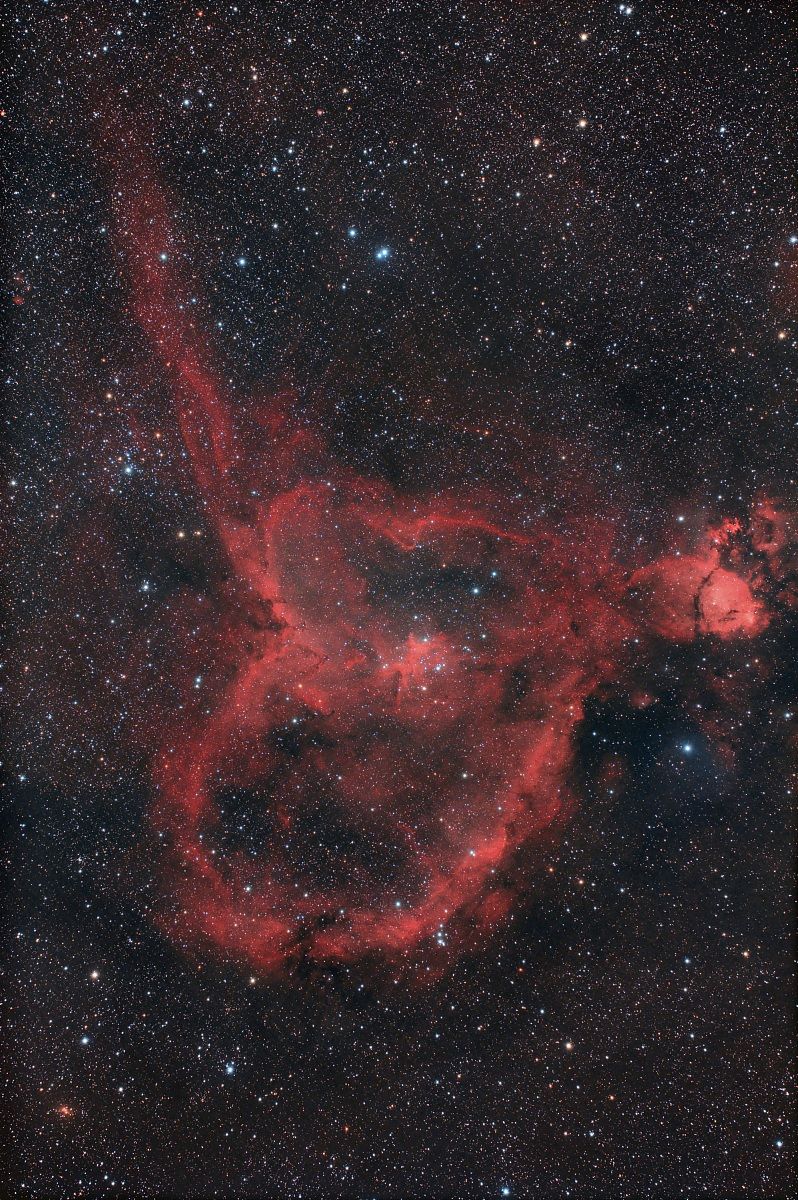 Nebulosa Cuore - IC 1805