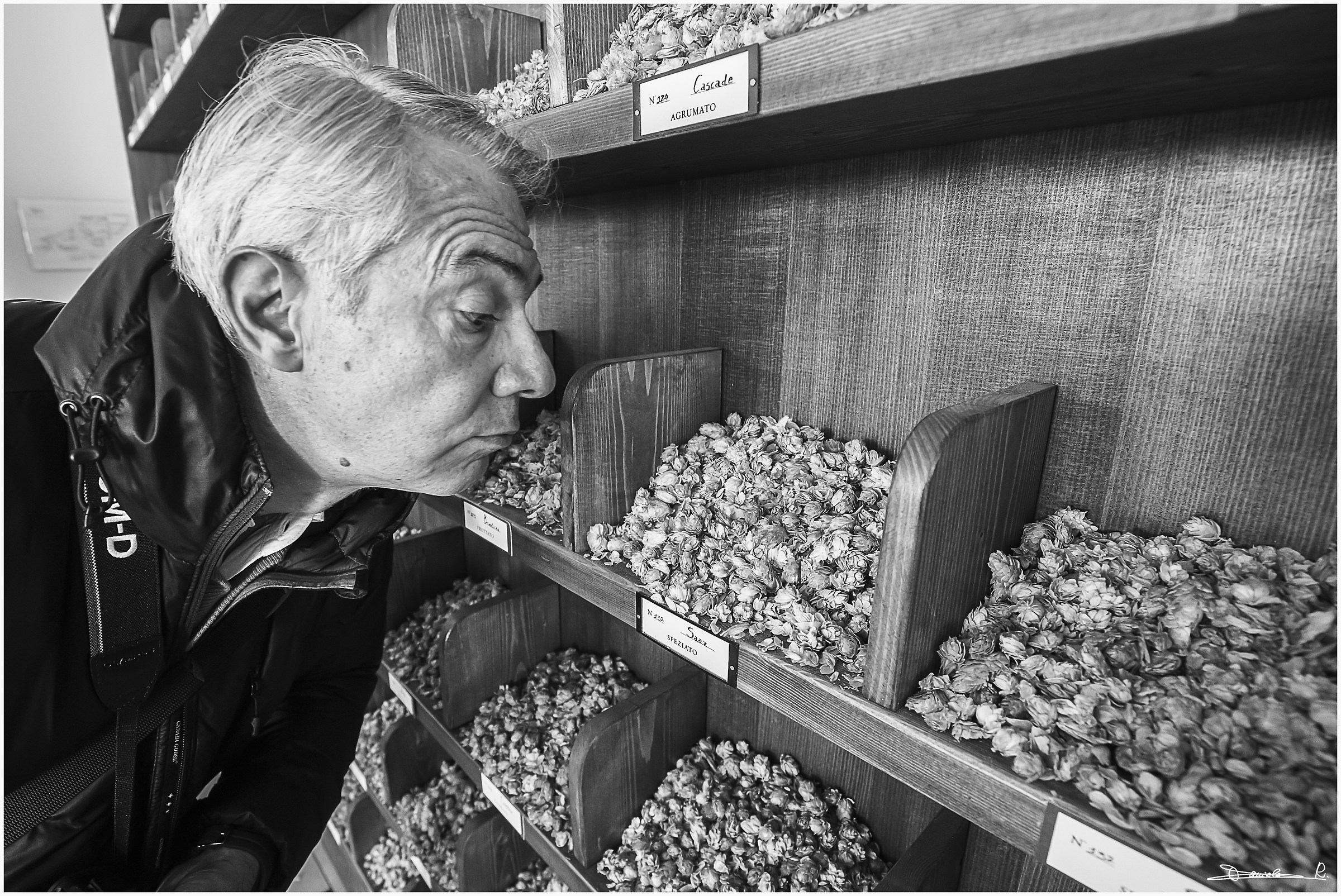 Fonzie... "Luppolone curioso"