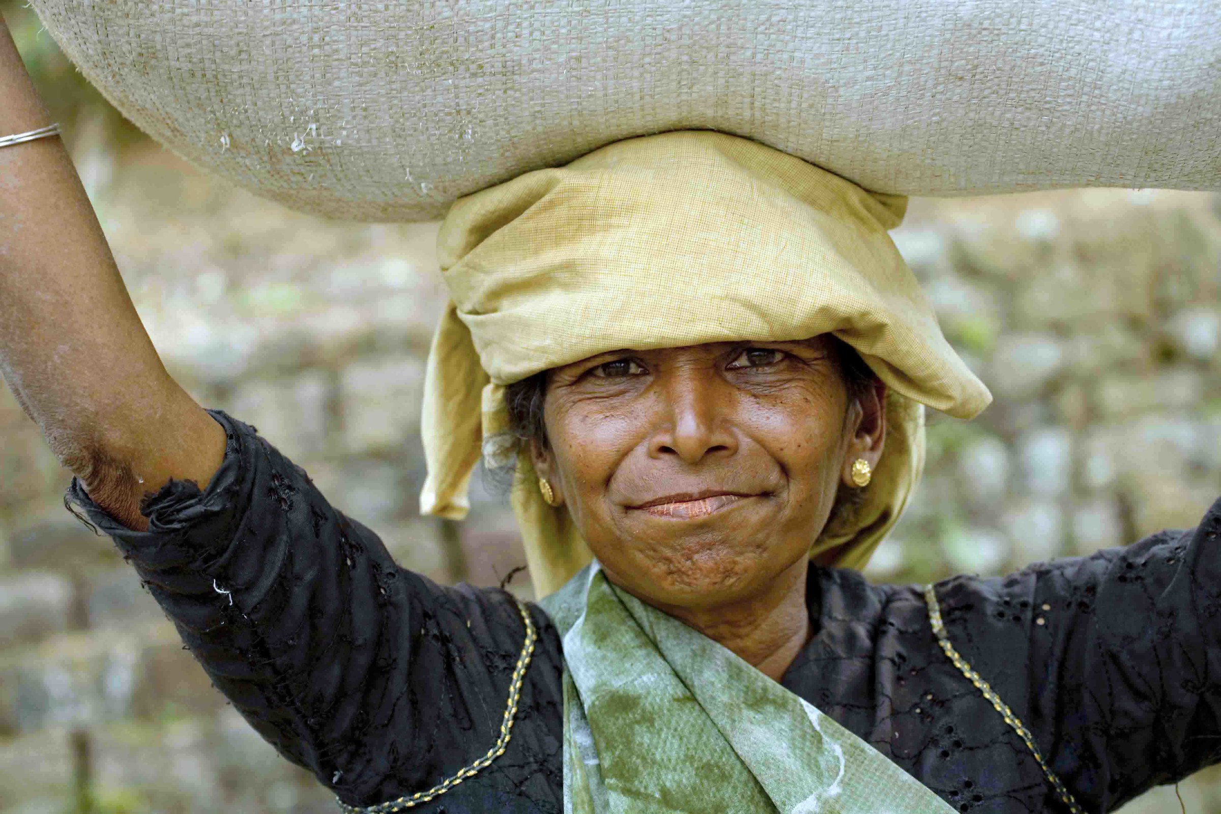 Picker you '- Sri Lanca