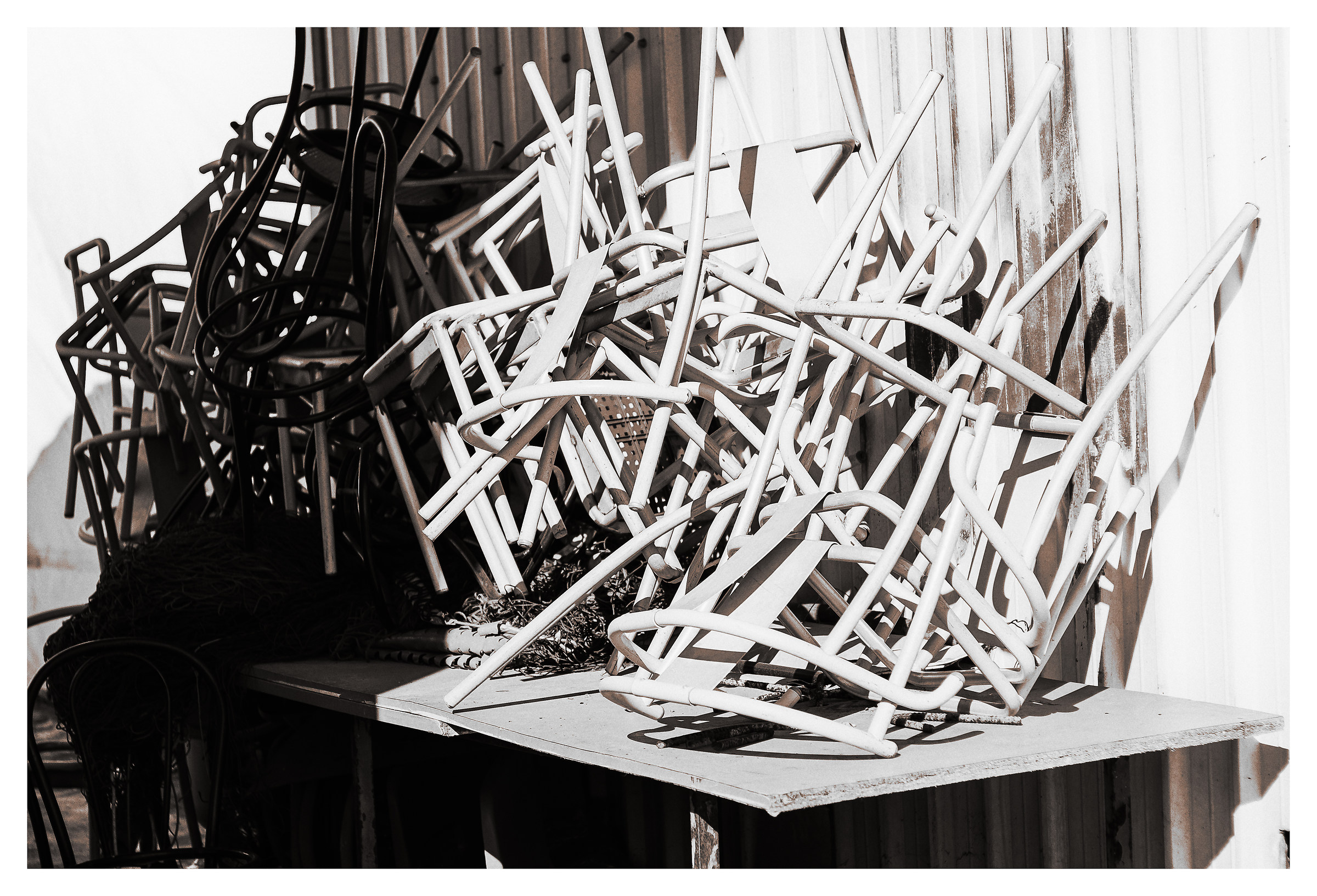 yet another BW Xtrans pics