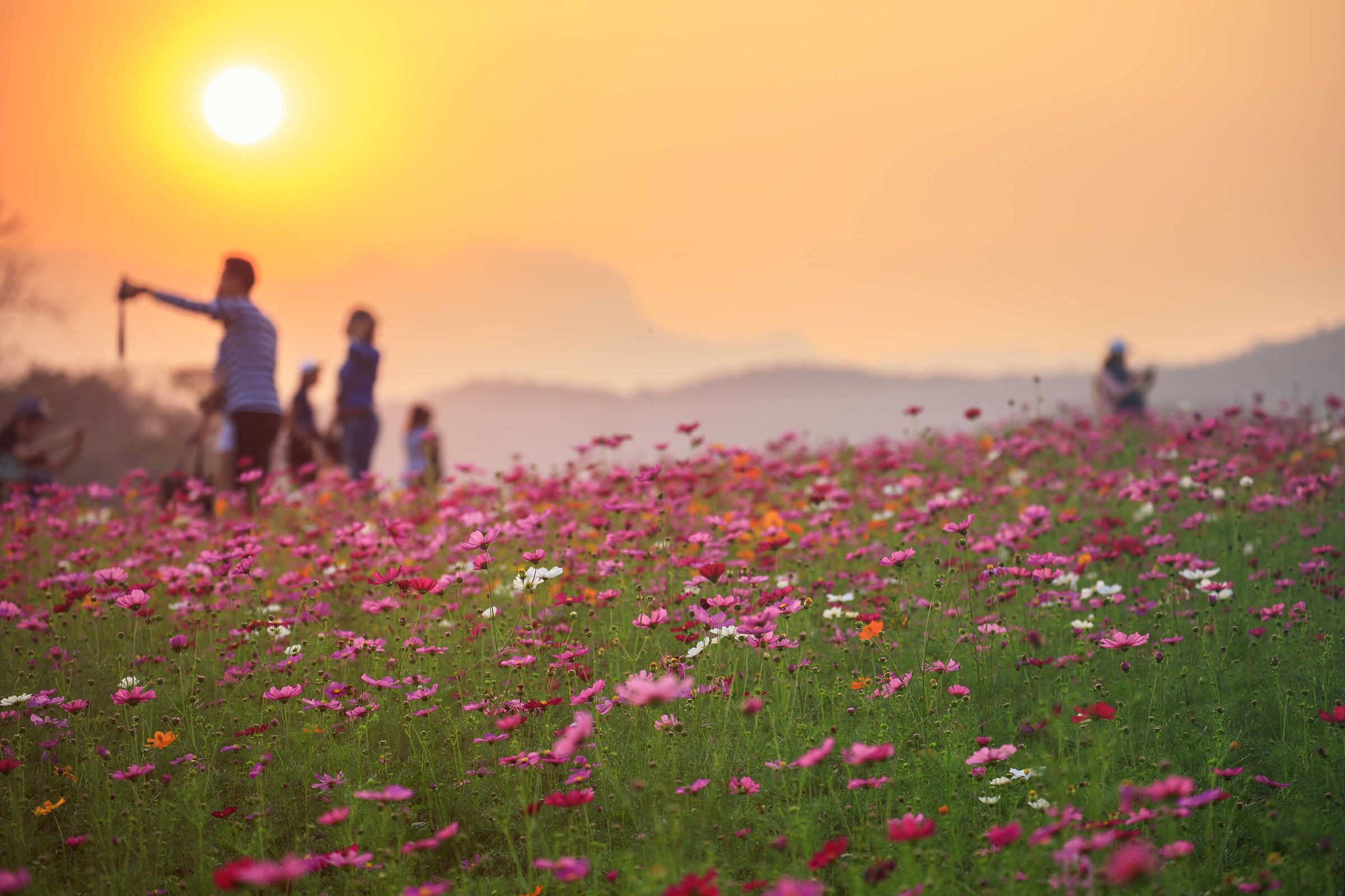 I remember spring time