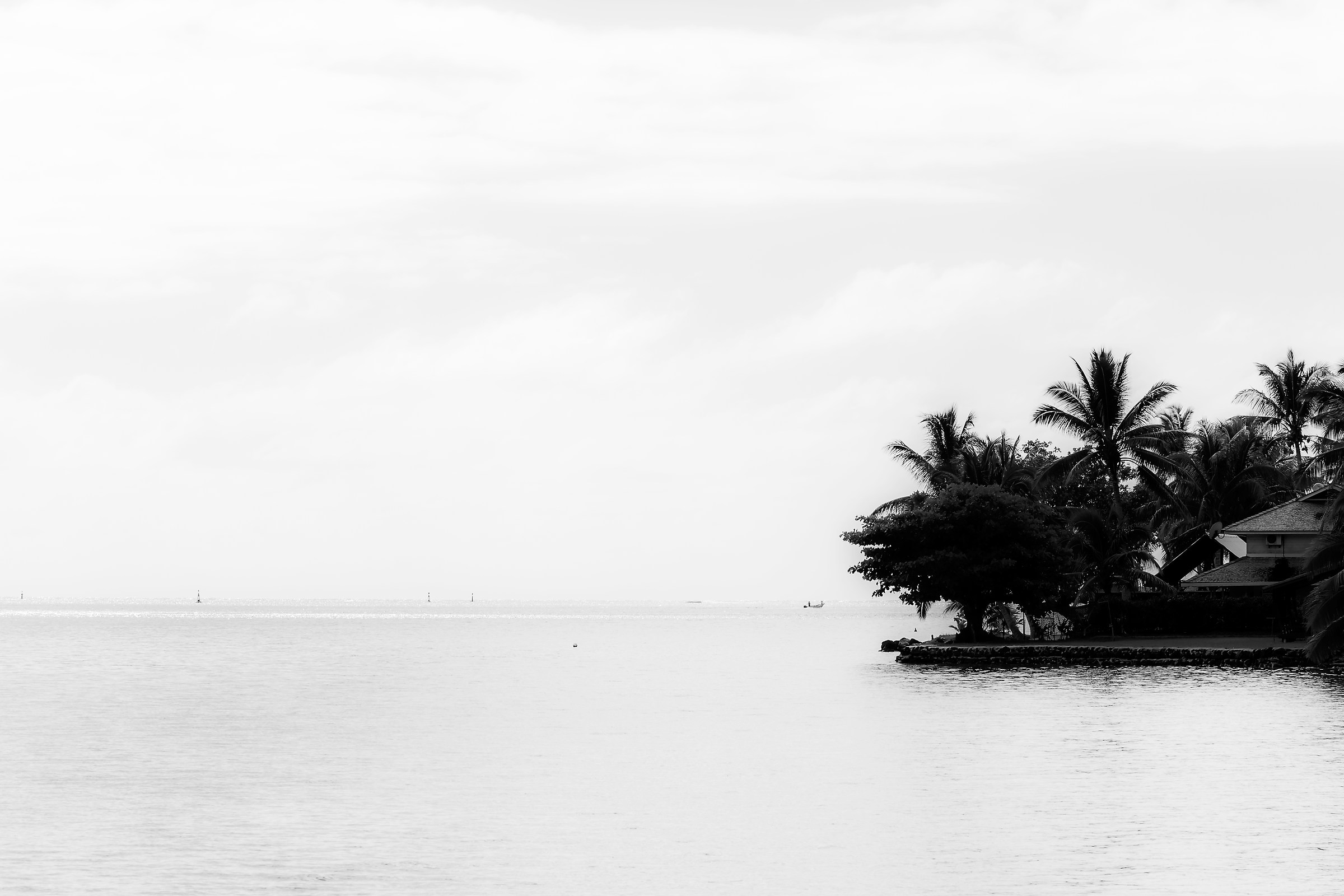 Sospesi tra il cielo ed il mare