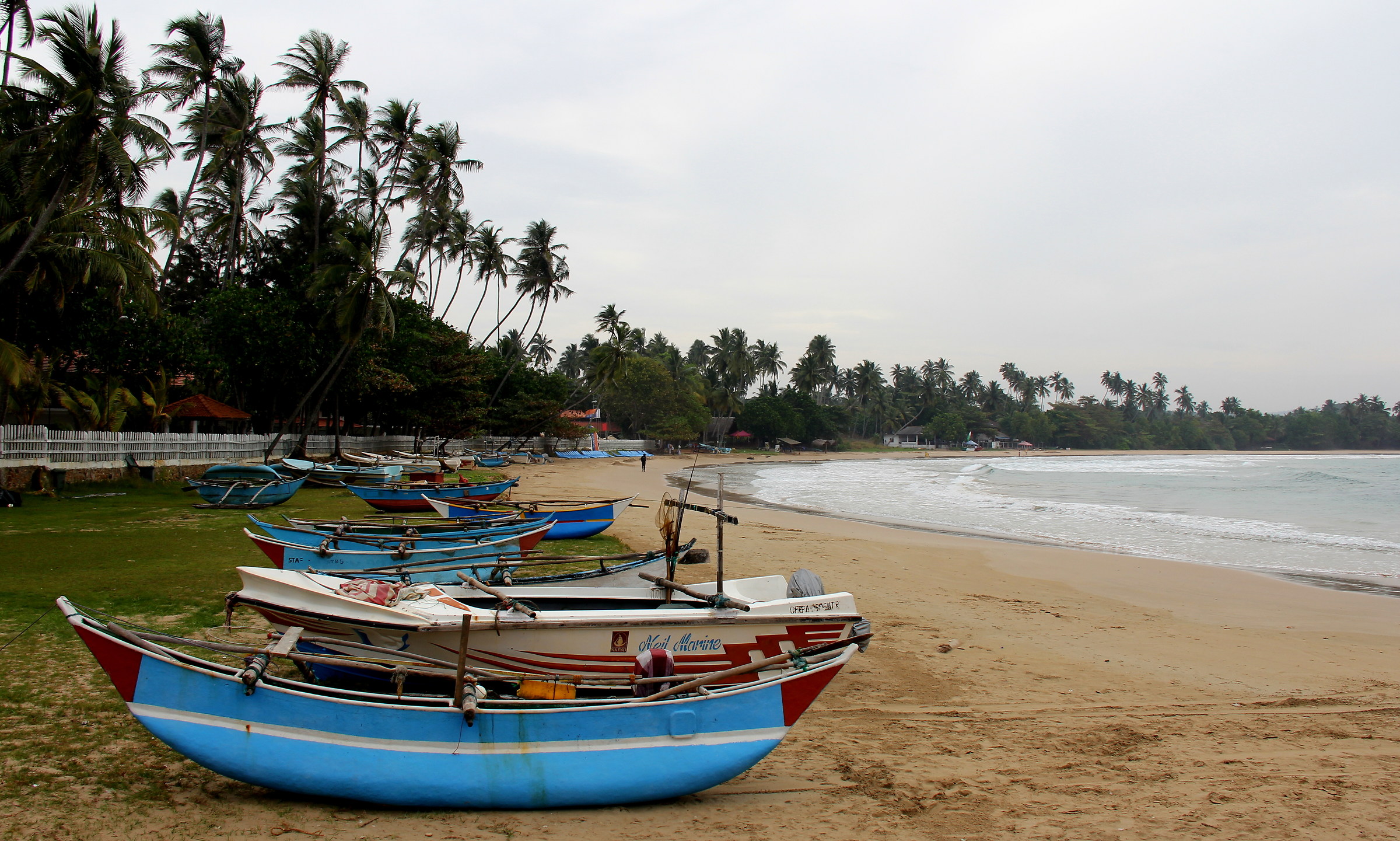 The boats in Sri Lanka