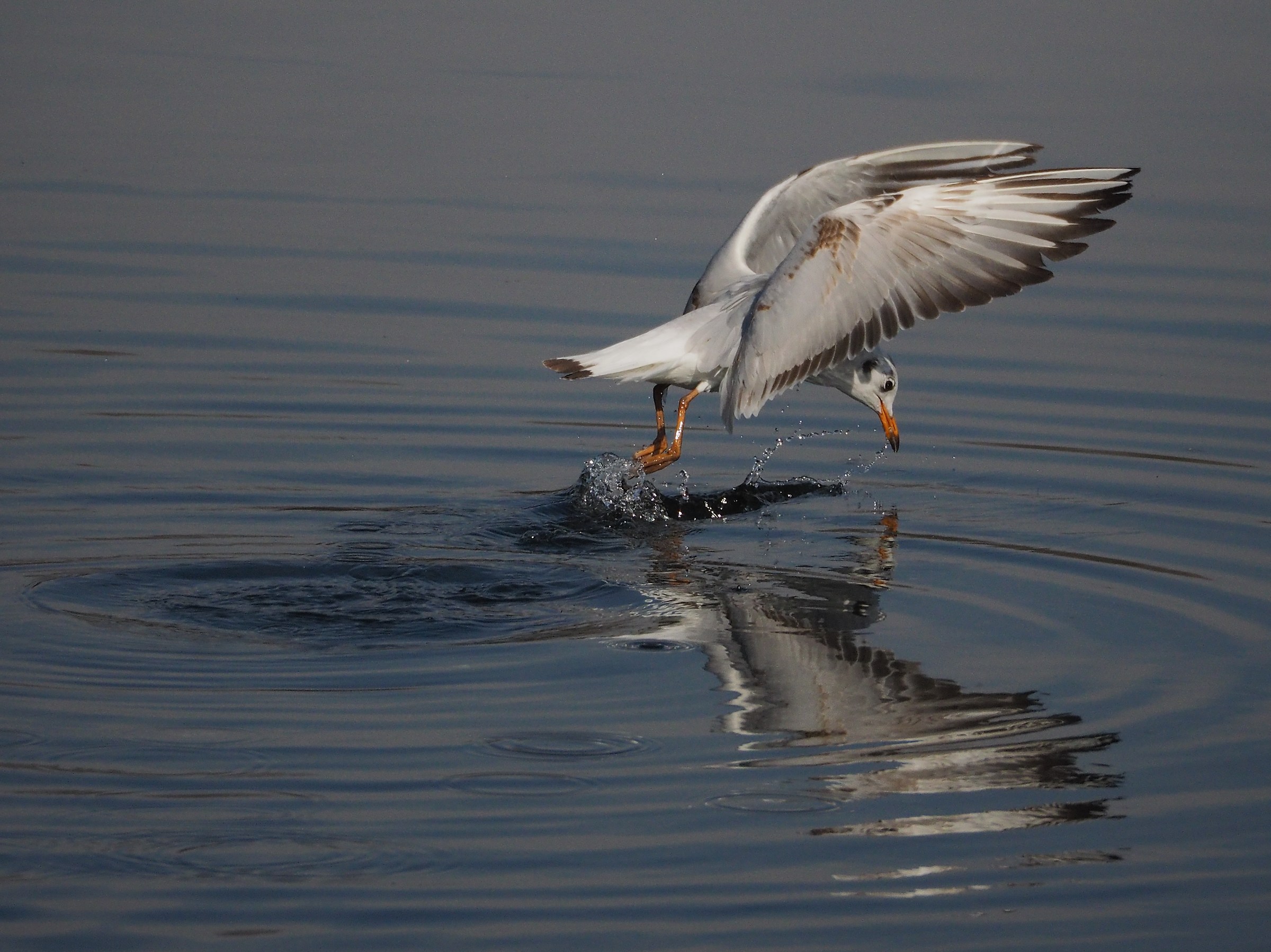 Fishing on the water