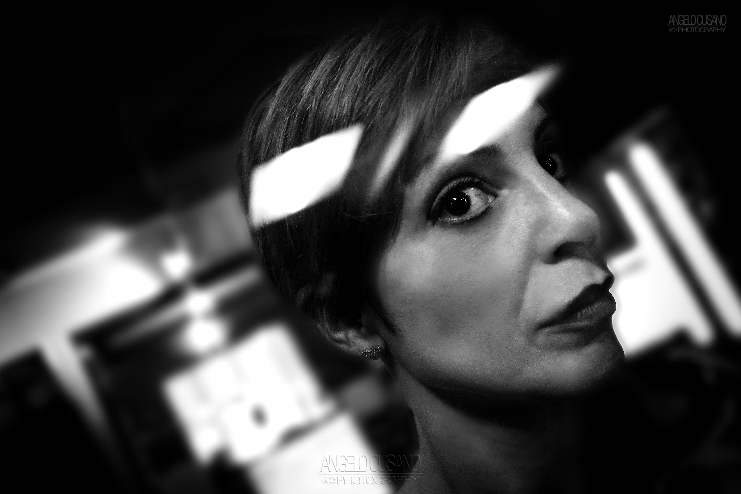 una delle foto per la campagna "no animali in vetrina&q...