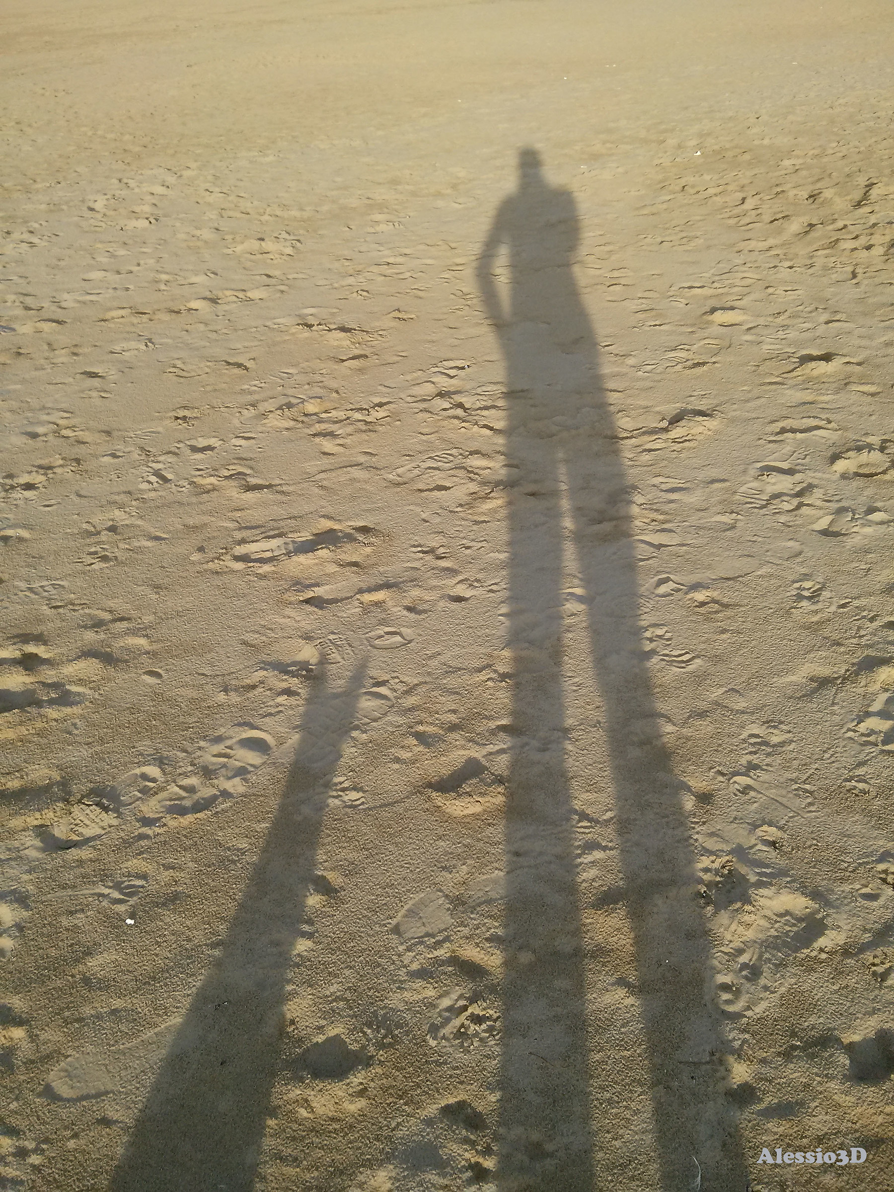 In attesa dello scatto...