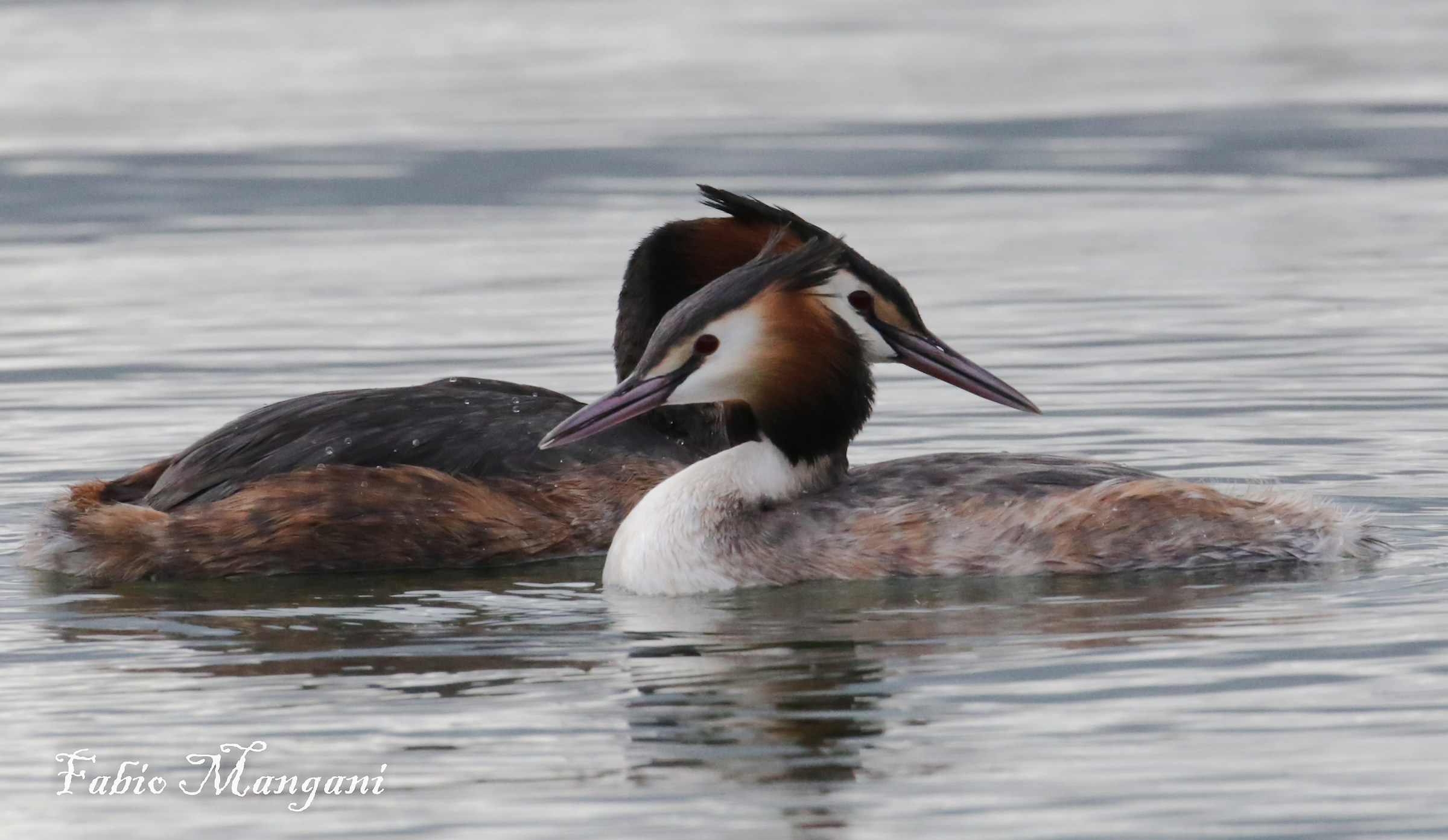 La coppia si è formata