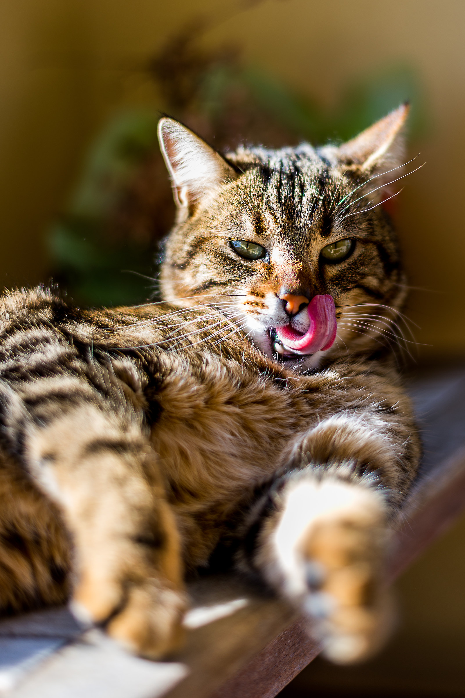 Appena finito di mangiare ...