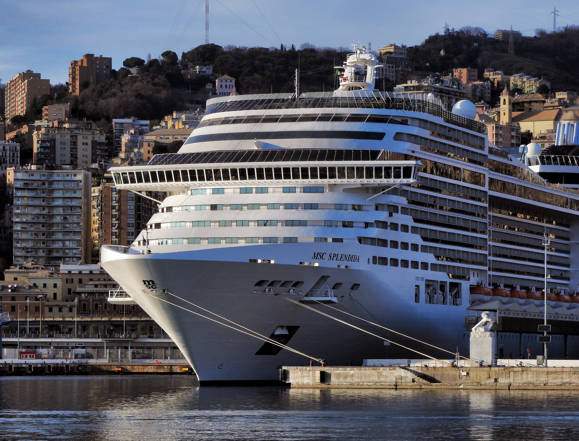 A monster in the house .....