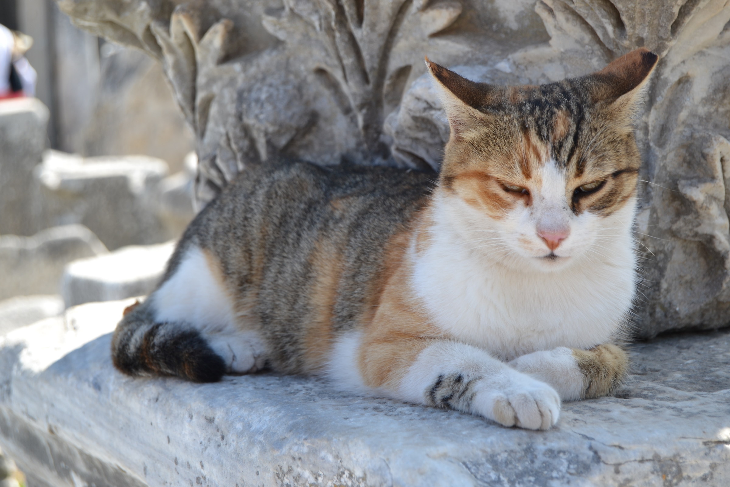 The guardian of Ephesus
