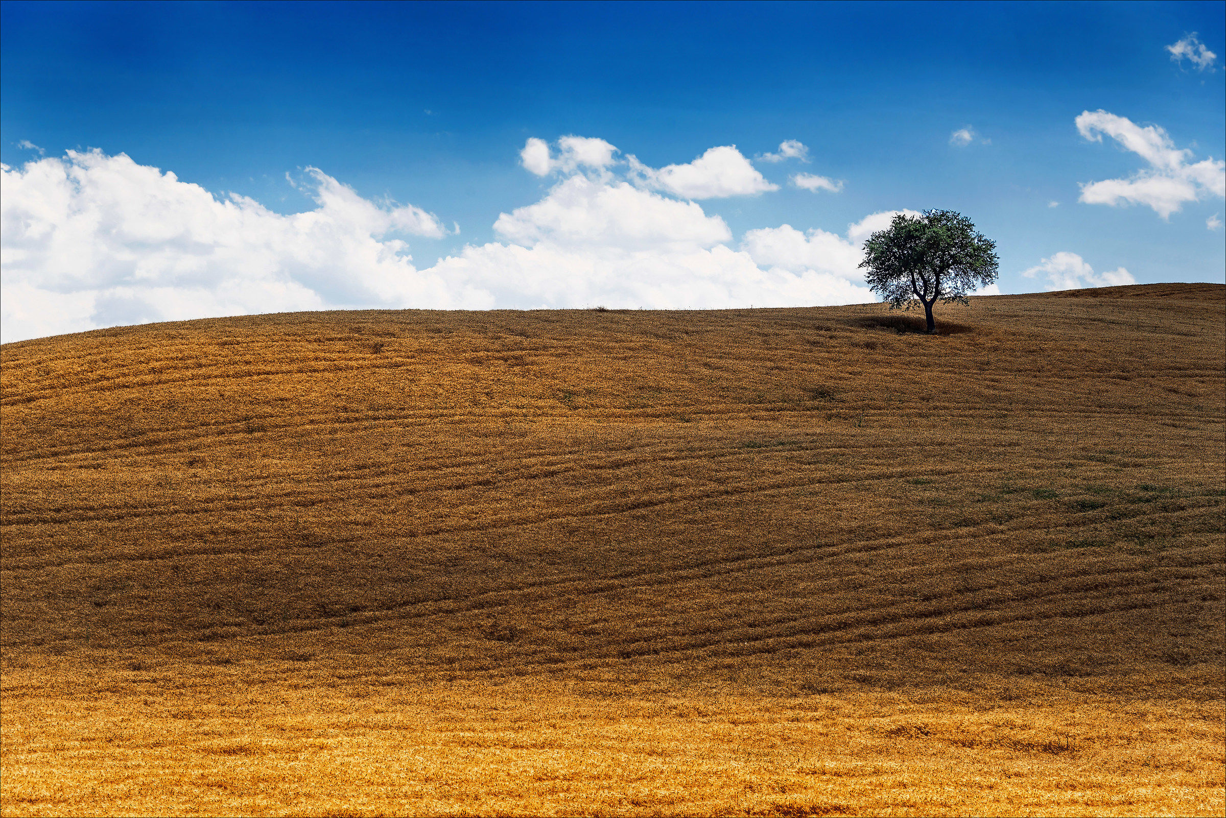Val d'Orcia - Il solitario