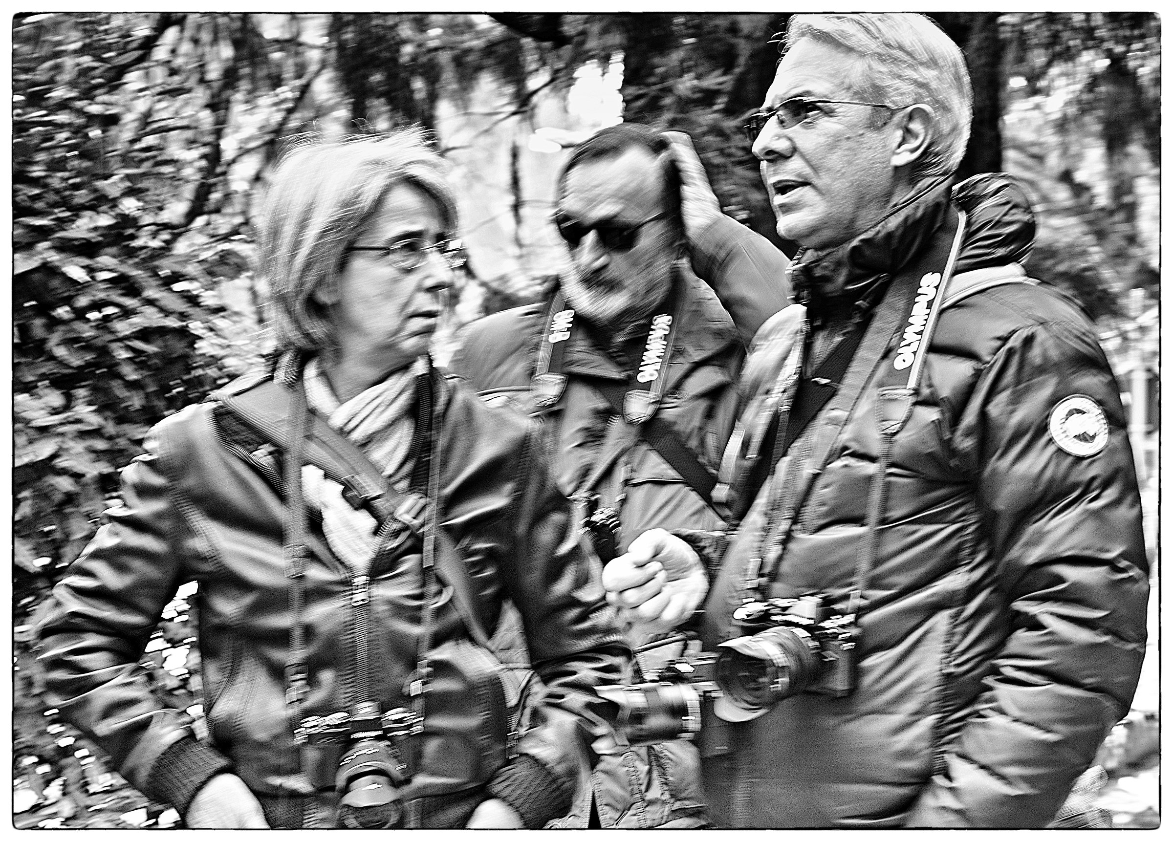 The National Fonzie and company