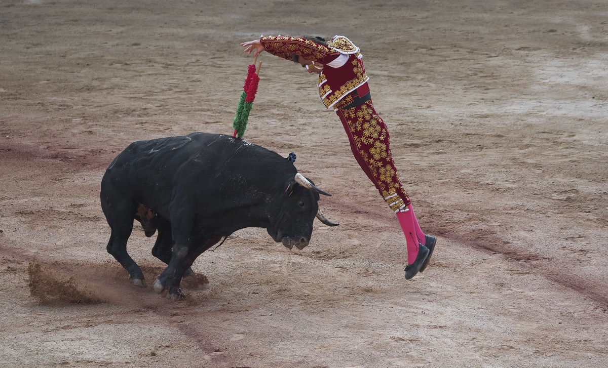 bullfight