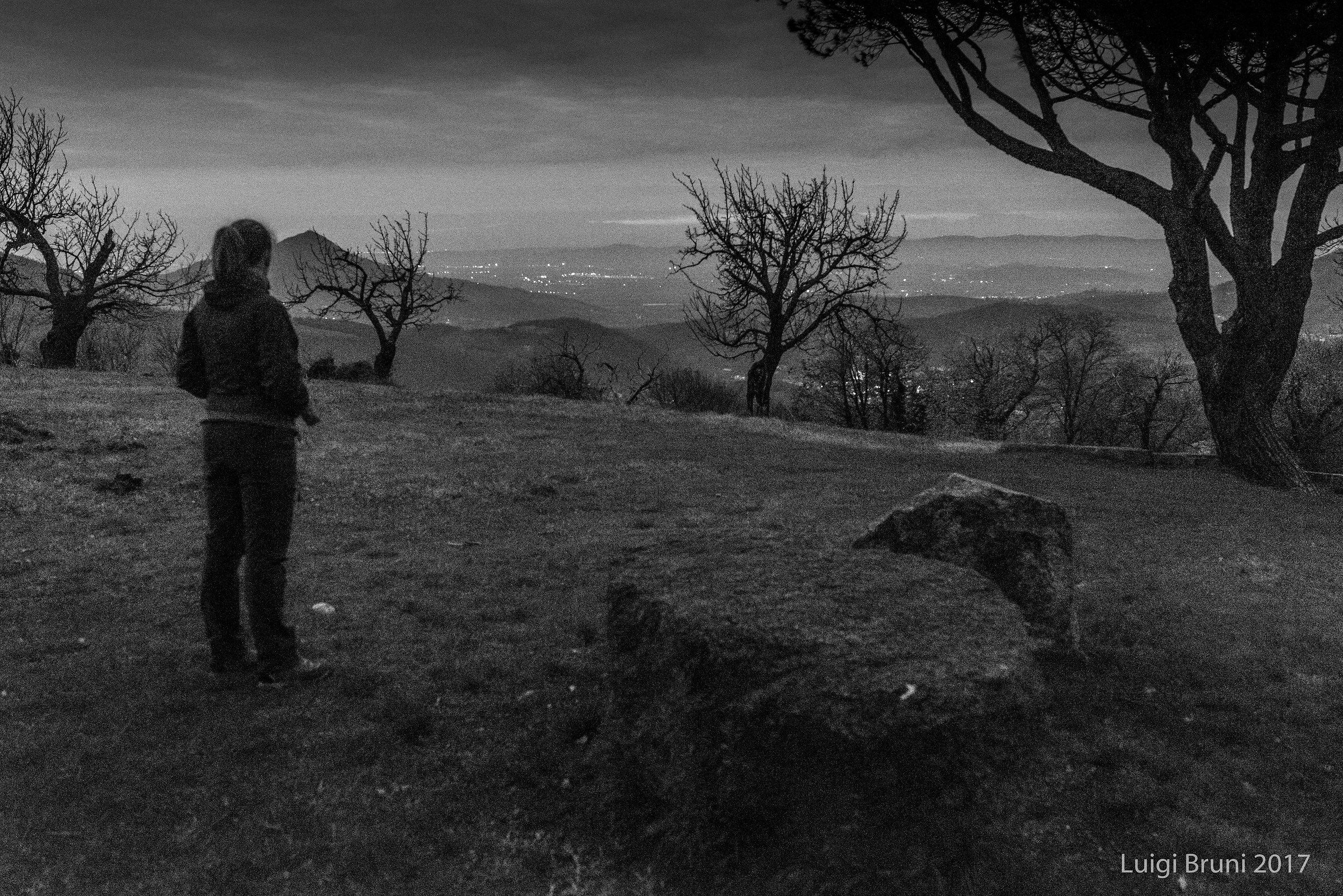 gli spiriti del bosco