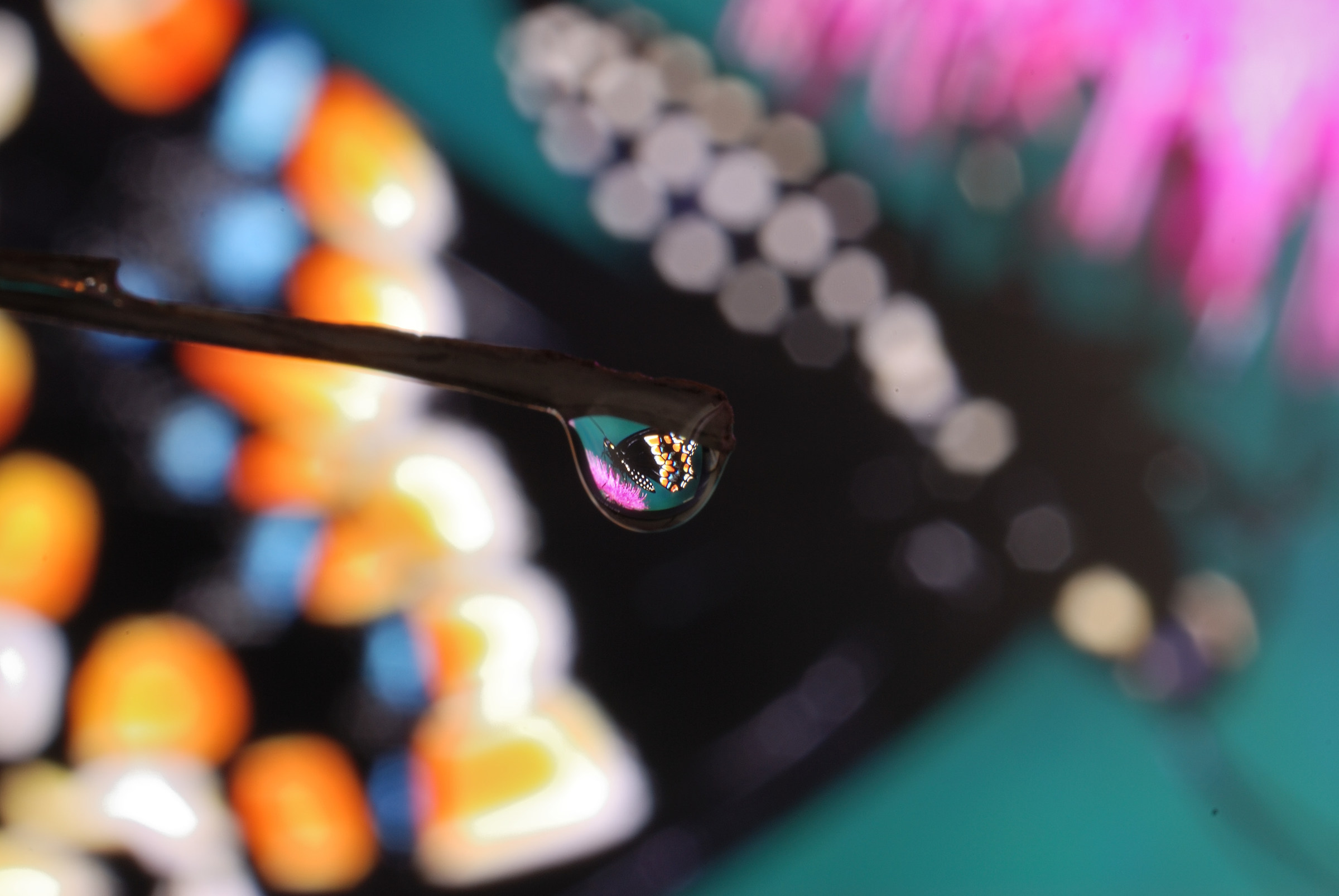 Riflesso di farfalla