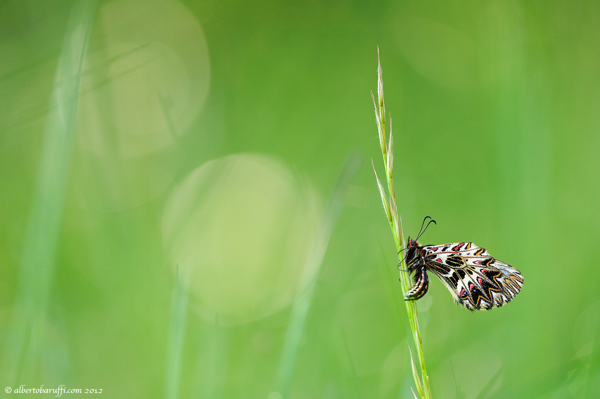 Surrounded by nature