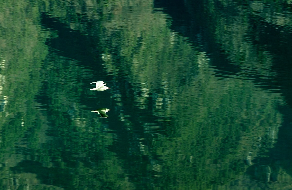 Specchio...specchio...