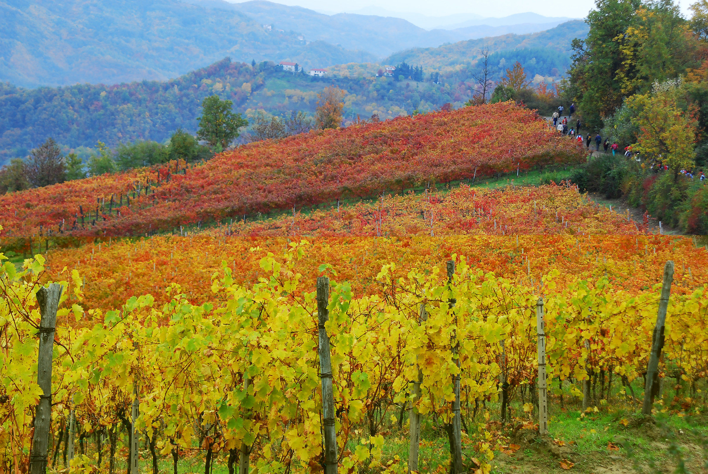 Scarpinata autunnale