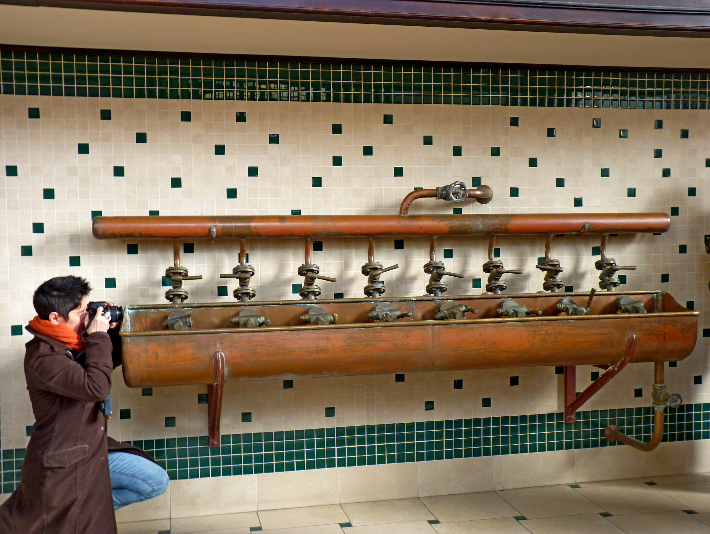 catturata al volo con teleobiettivo di nuova generazion