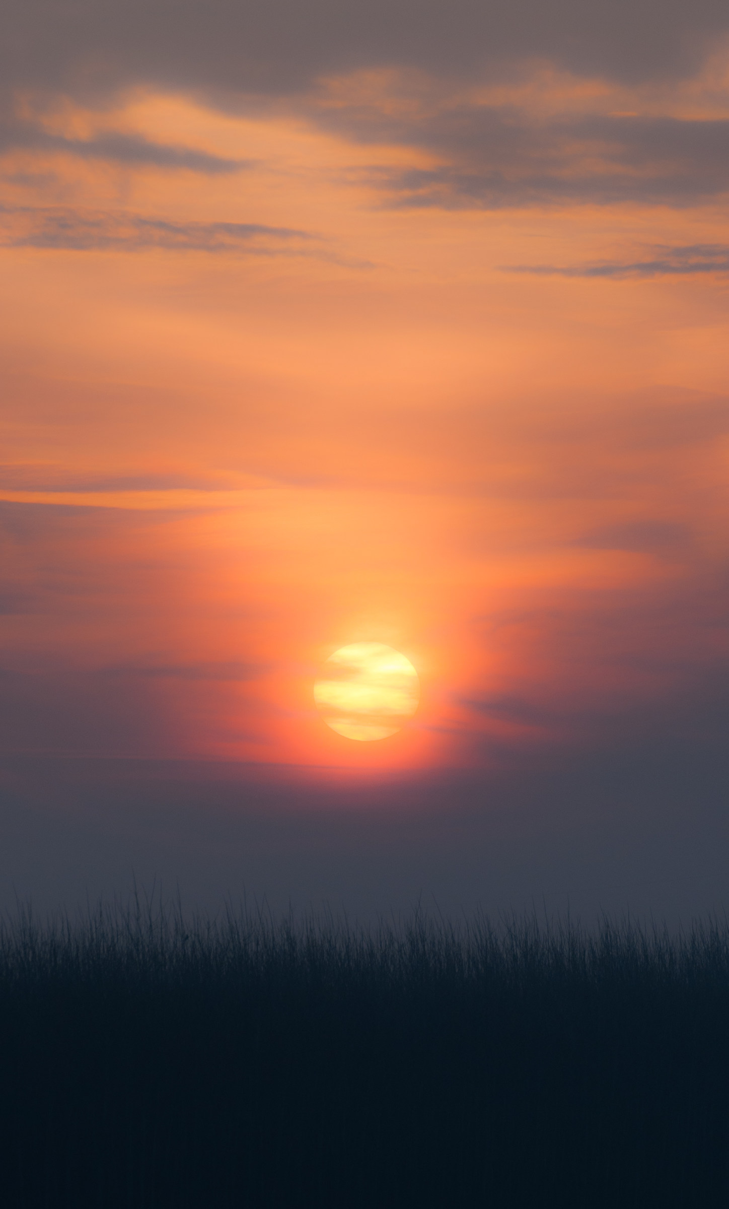 Alba graffiante in Bassa Pavese