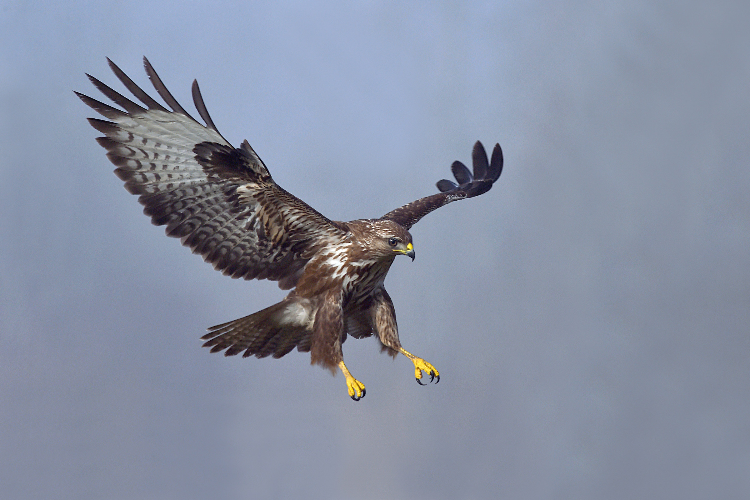 Do not expect the wind 2