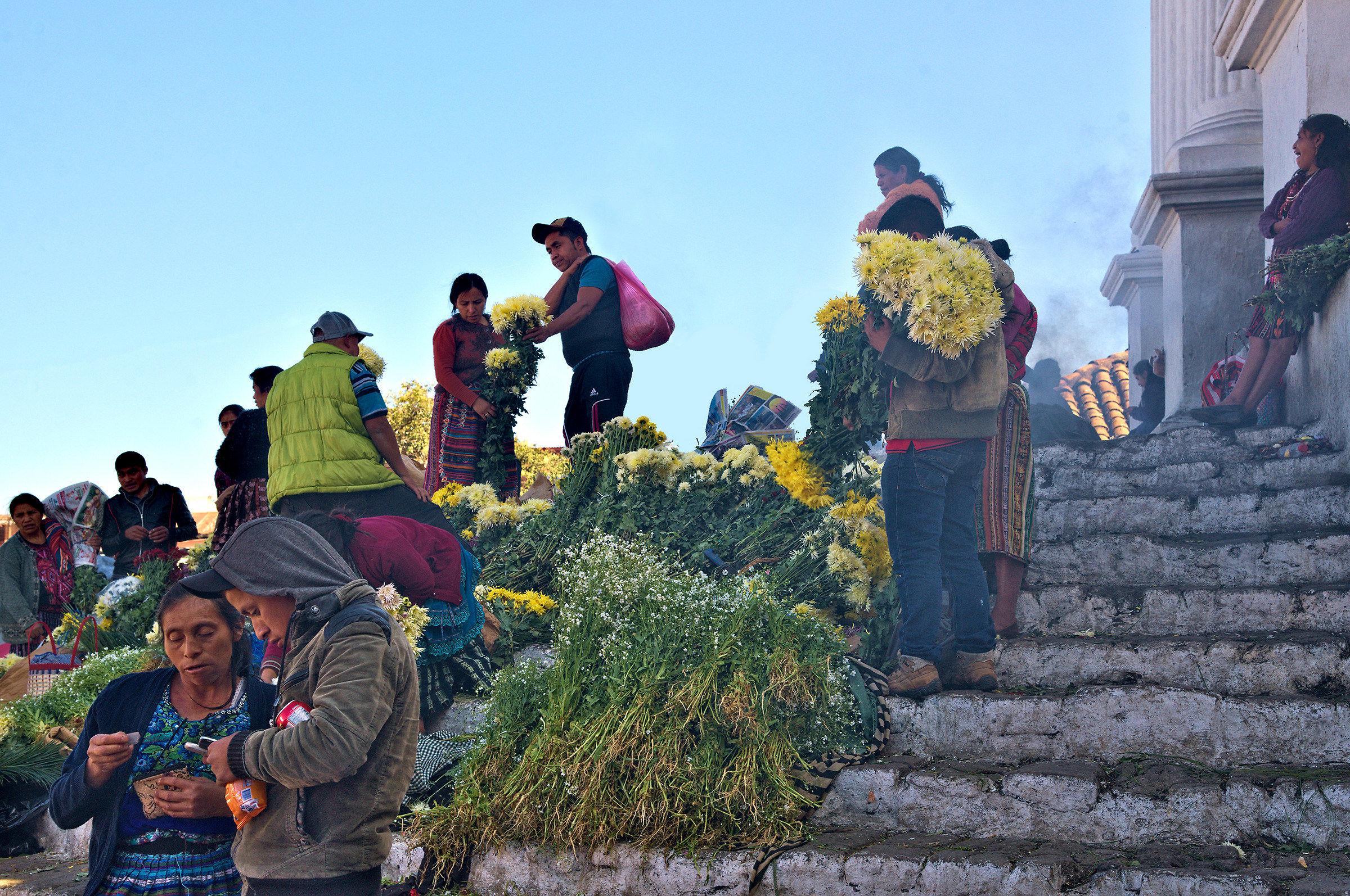 Flowers on the scale