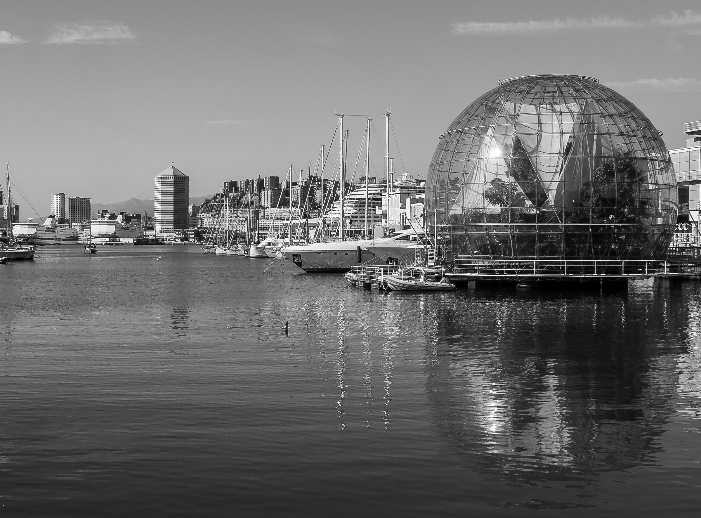 A View from the Old Port of Genoa