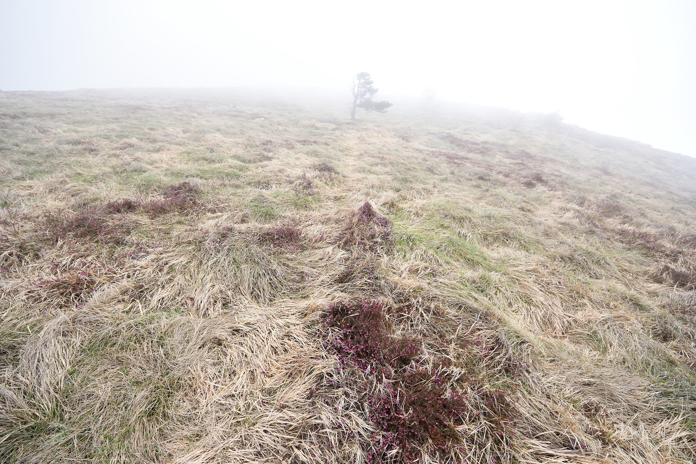 Regional Natural Park of Beigua 1