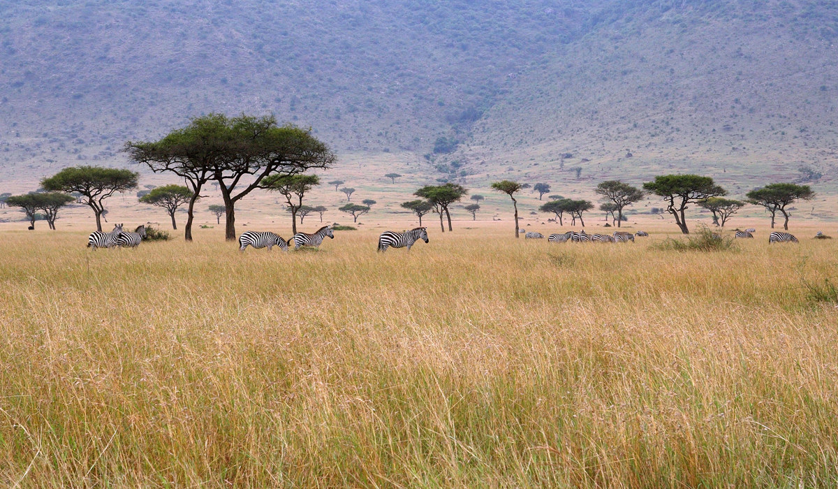 Masai Mara