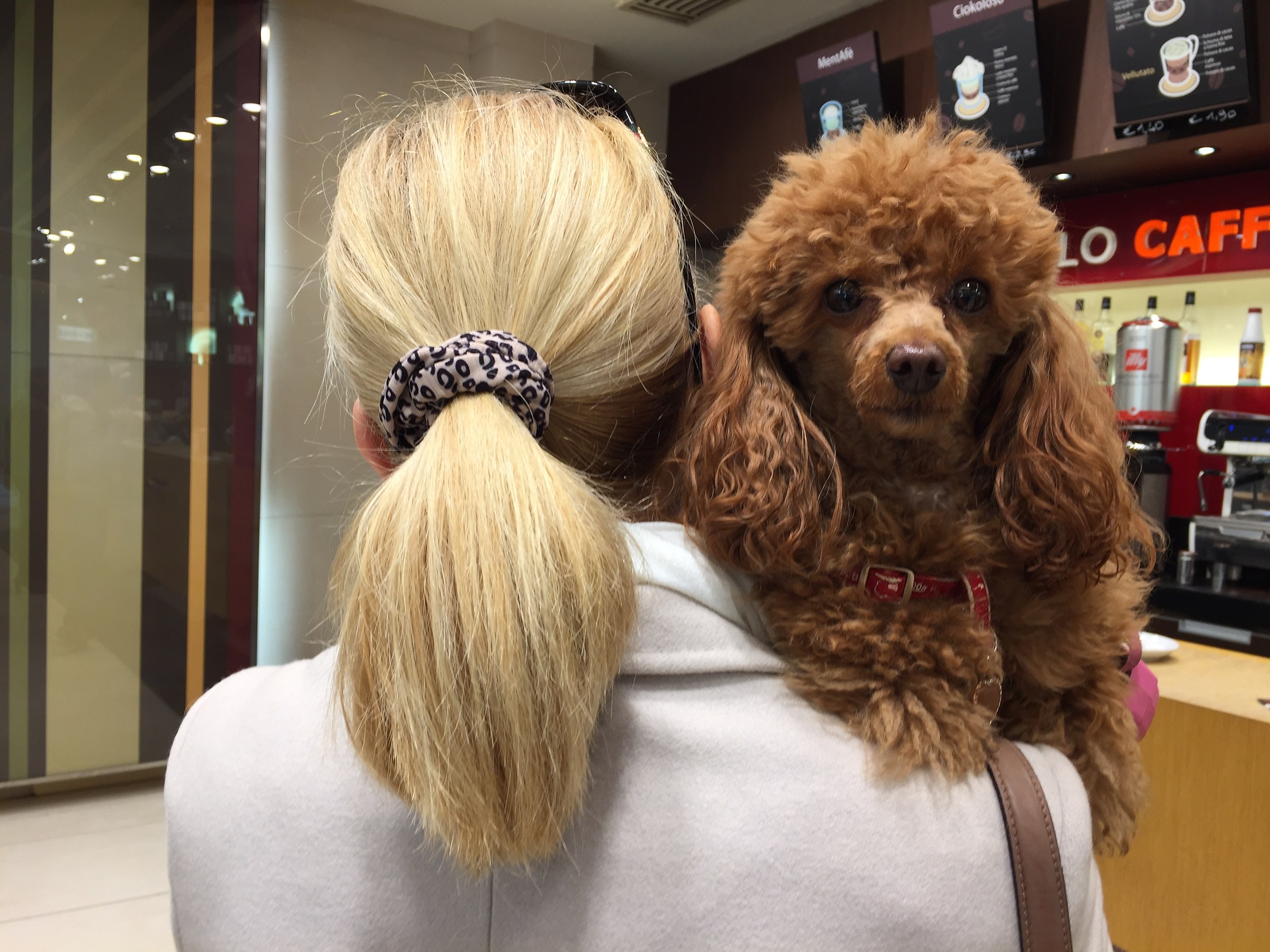 Diversamente bionde.