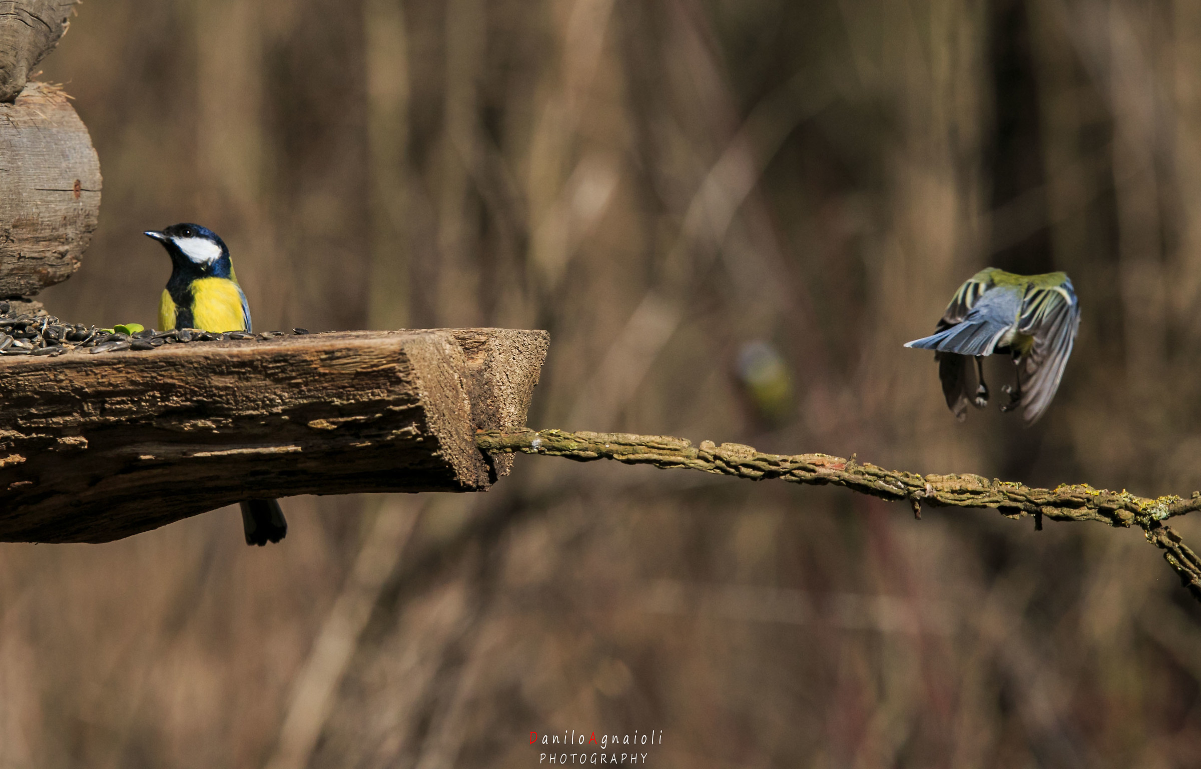 There 'who is and there' who go '.