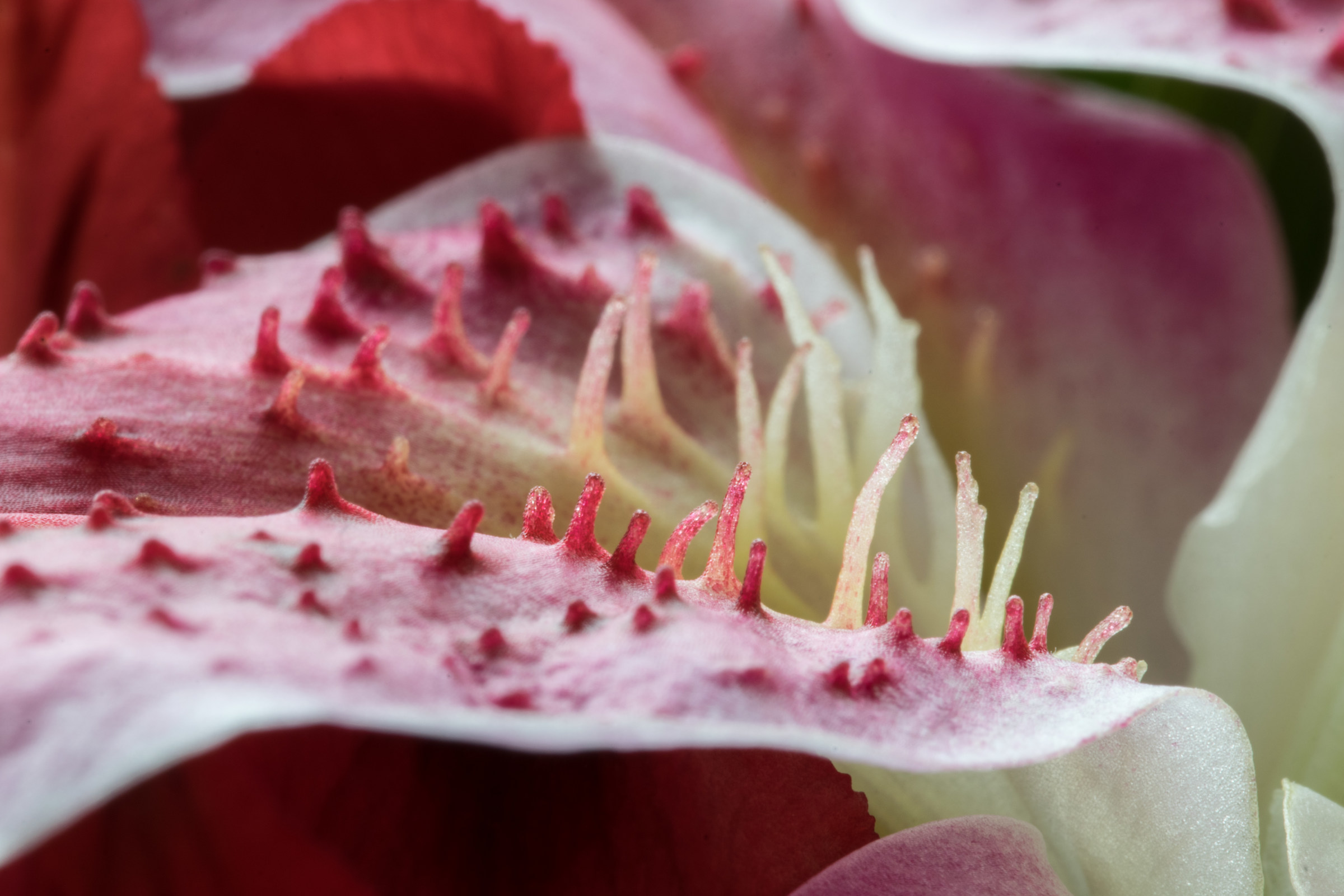 Un mondo che passa inosservato