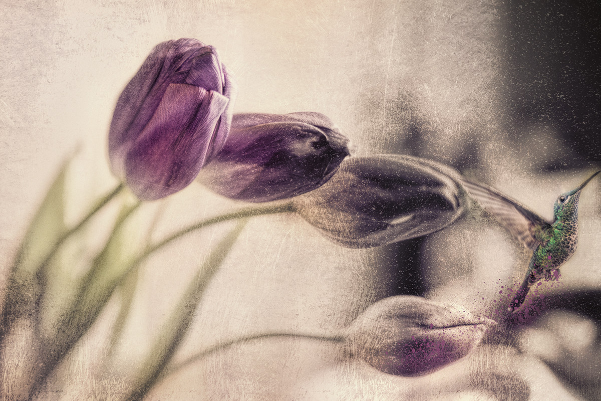 original photo of SabbiaVincent