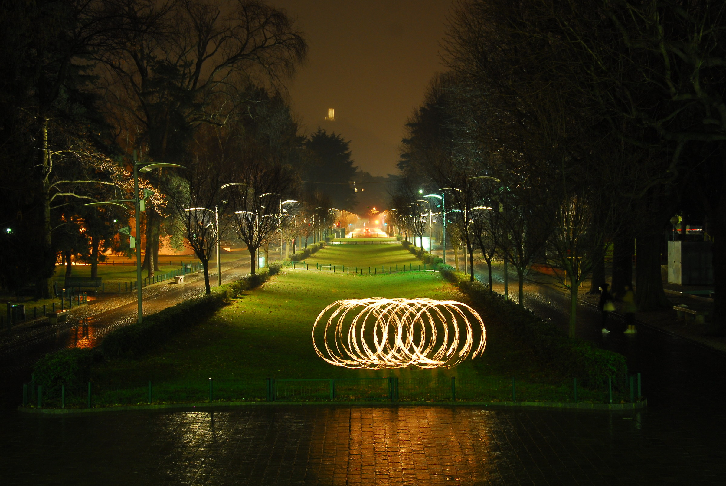 Circles in the grass
