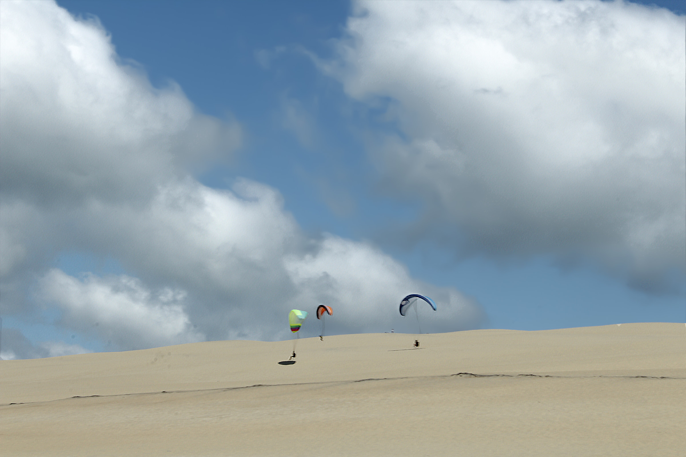 Trasportati dal vento