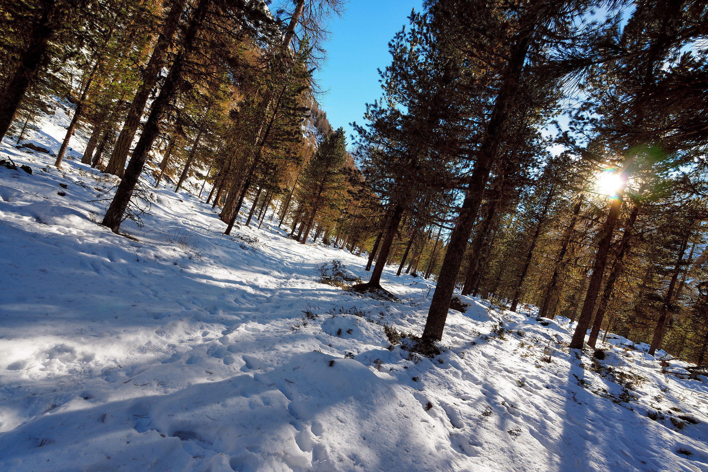 Val Roseg 25/02/2017