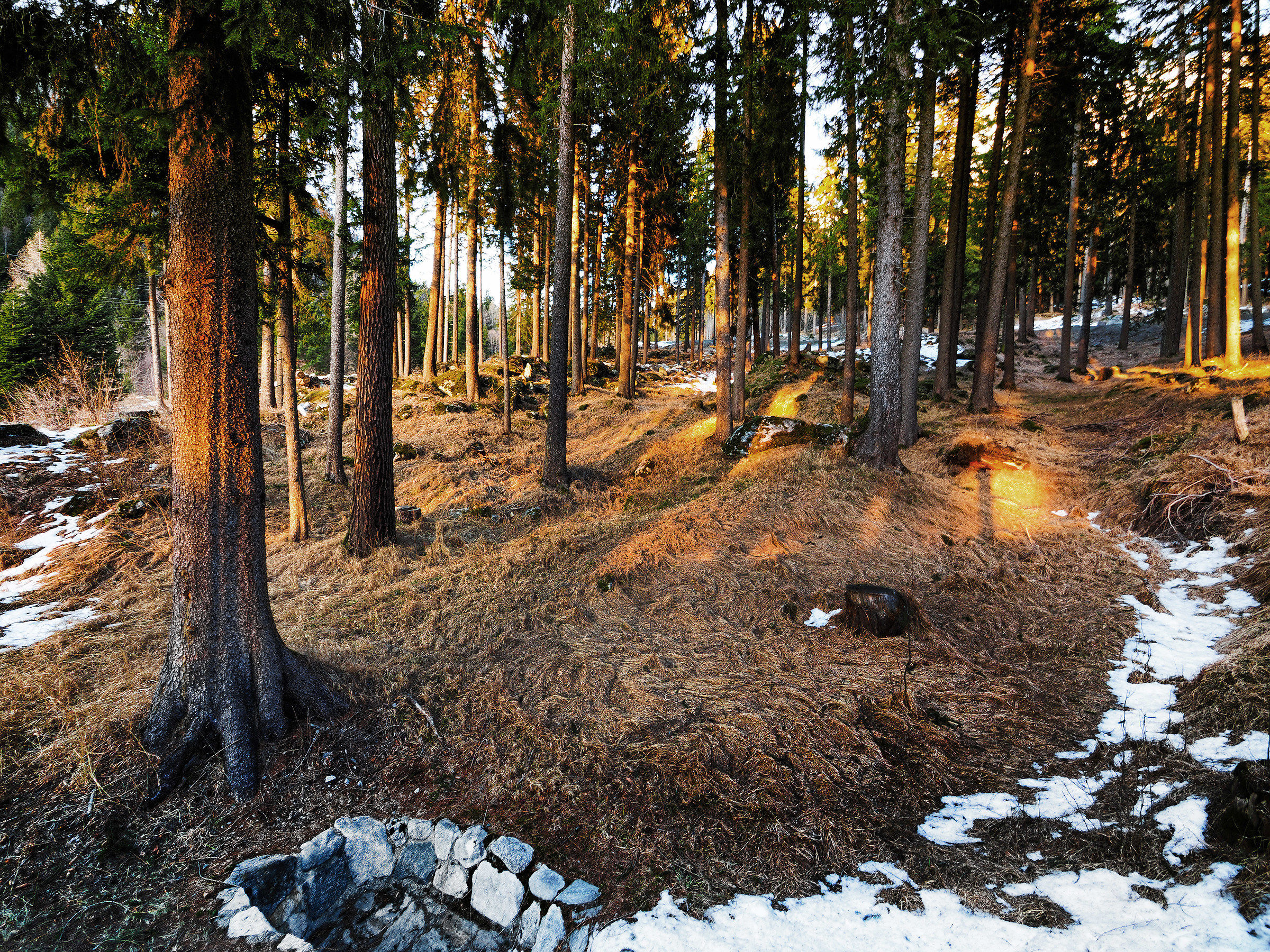 Val Roseg 25/02/2017