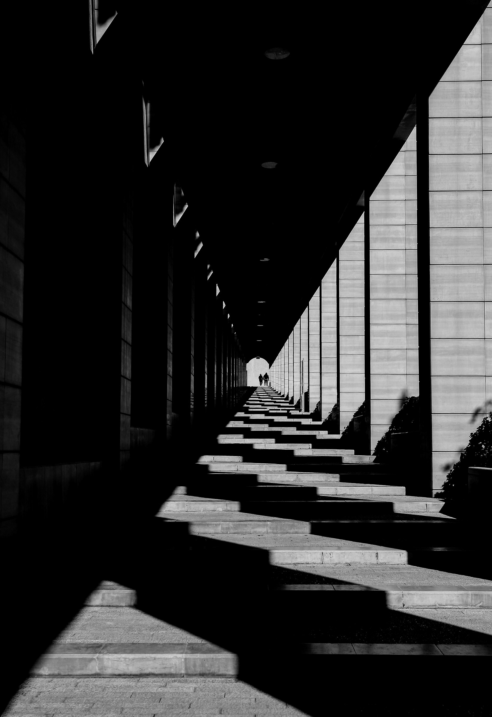 Camminare verso la luce