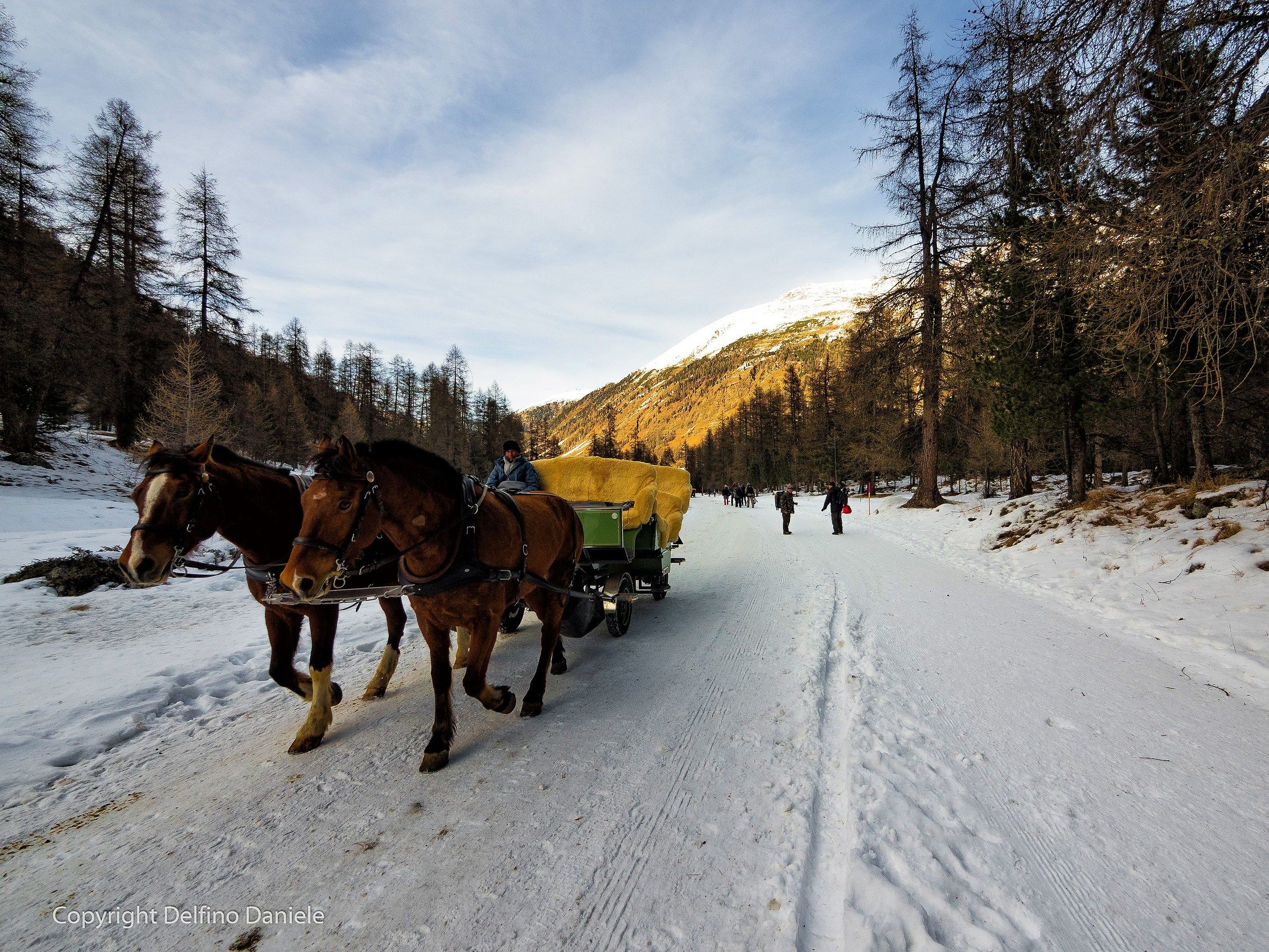 Val Roseg 25/02/2017