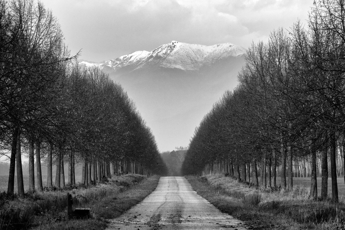 Venaria - Parco La Mandria