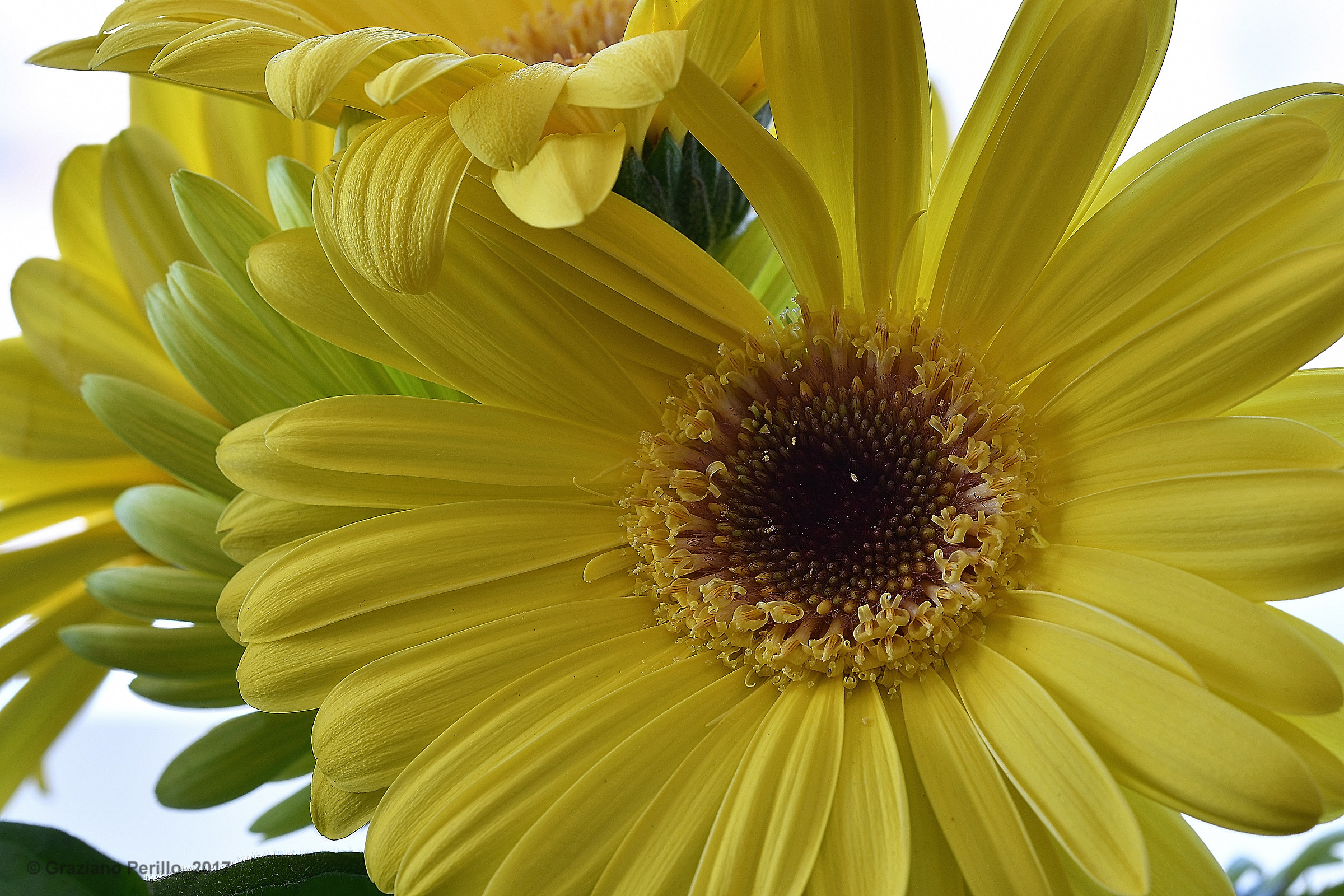 Spring is approaching