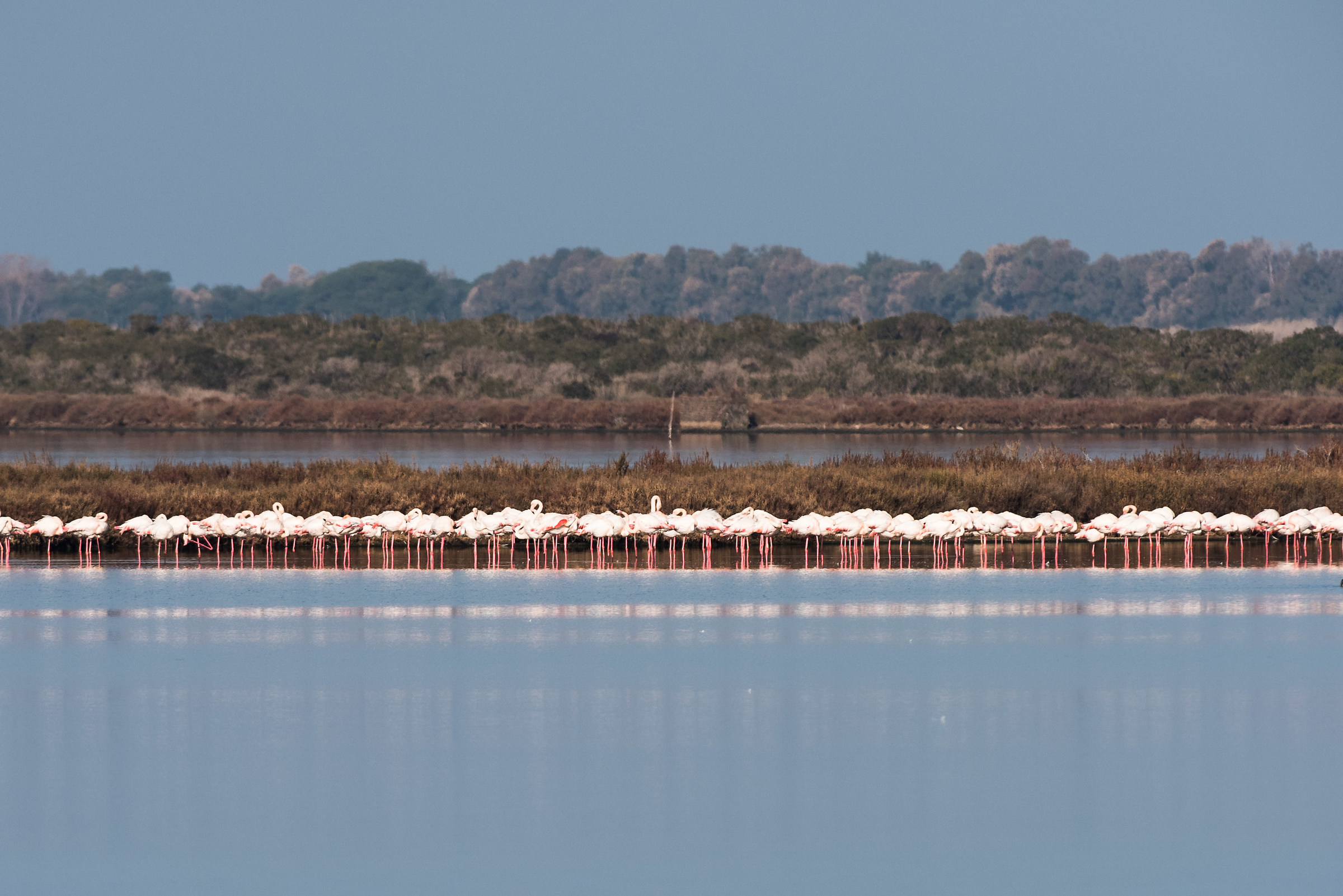 Laguna di Orbetello