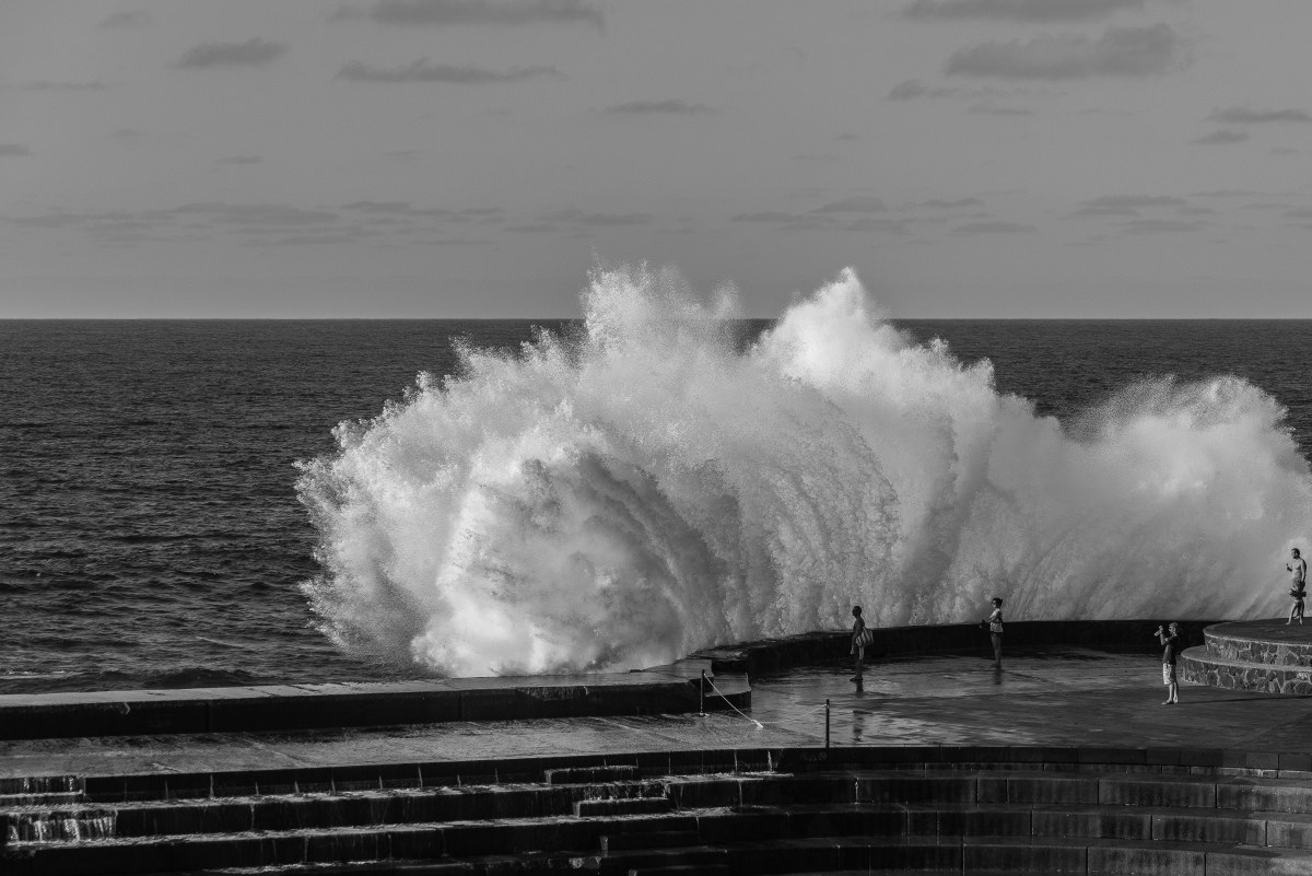 the nature of the show ............................