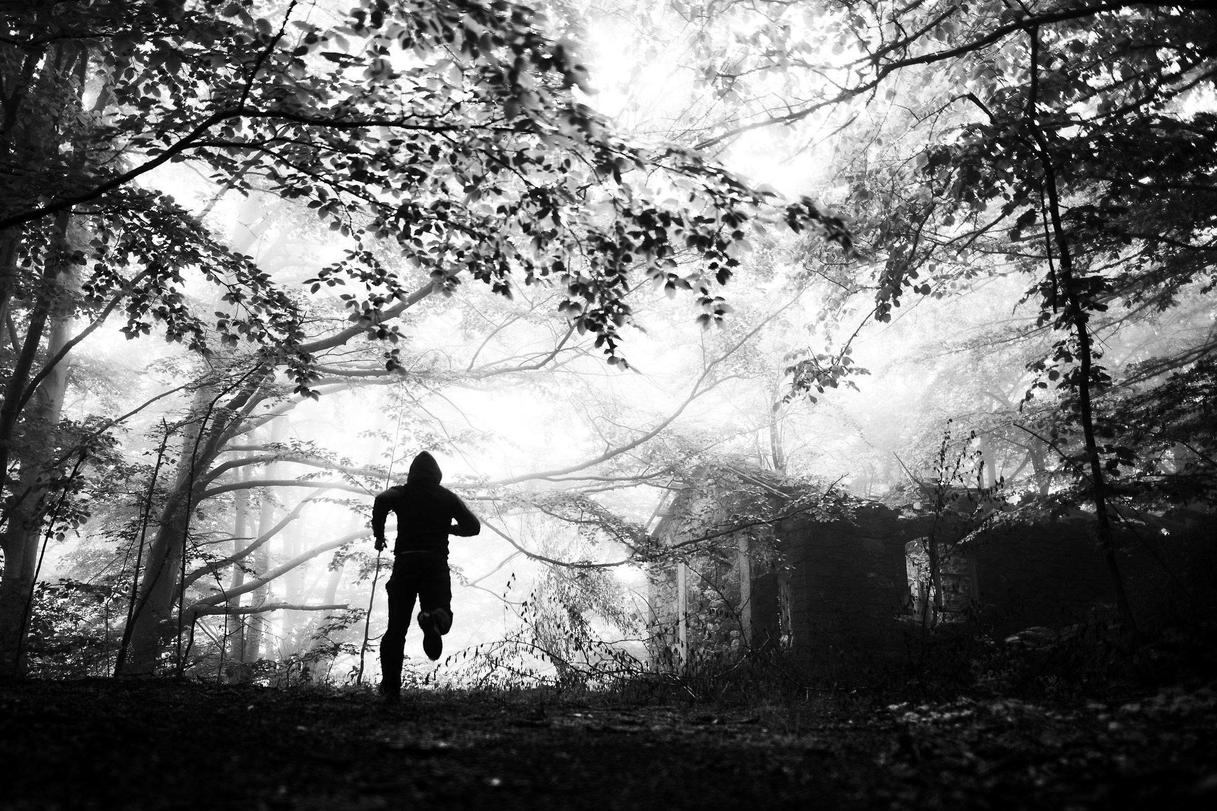 " Run " .. Autoscatto ..