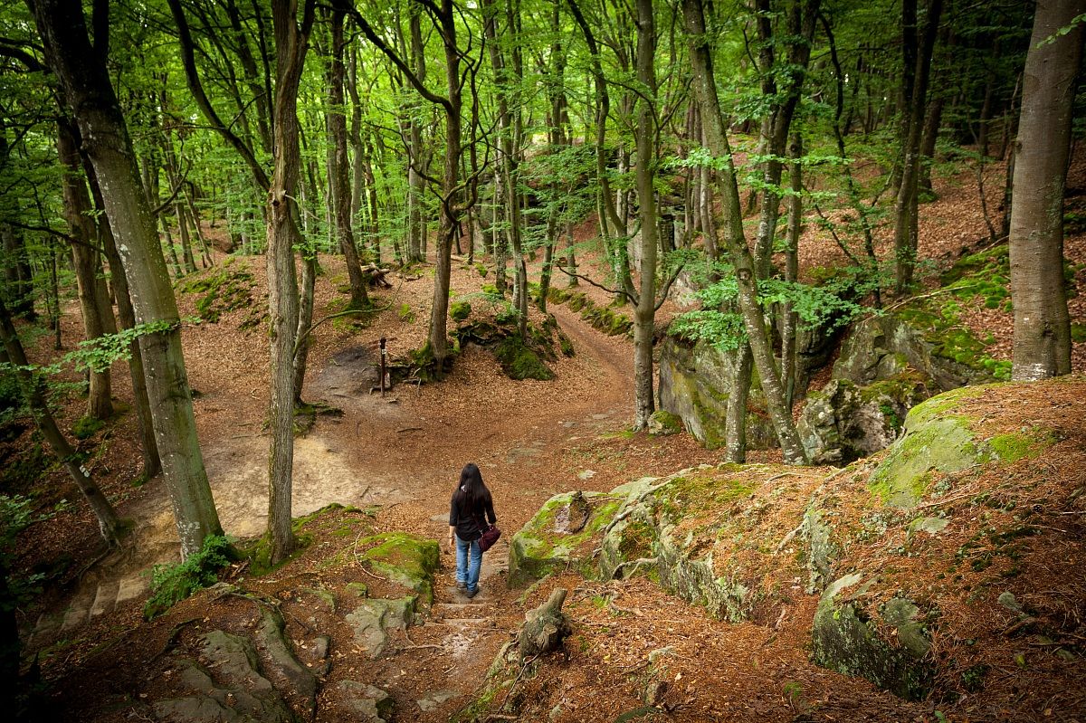 Surrounded by nature