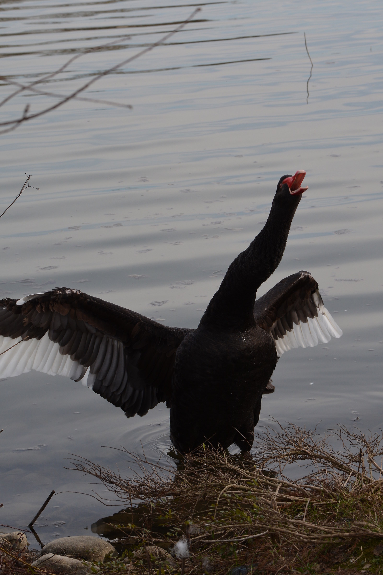 andate viiia mi avete rotto le ..........le